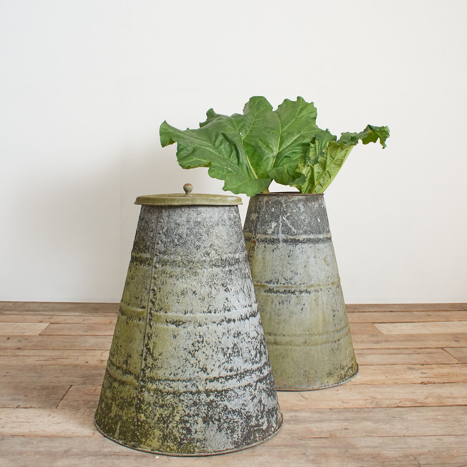 Pair Of Antique Victorian Riveted Metal Rhubarb Forcers