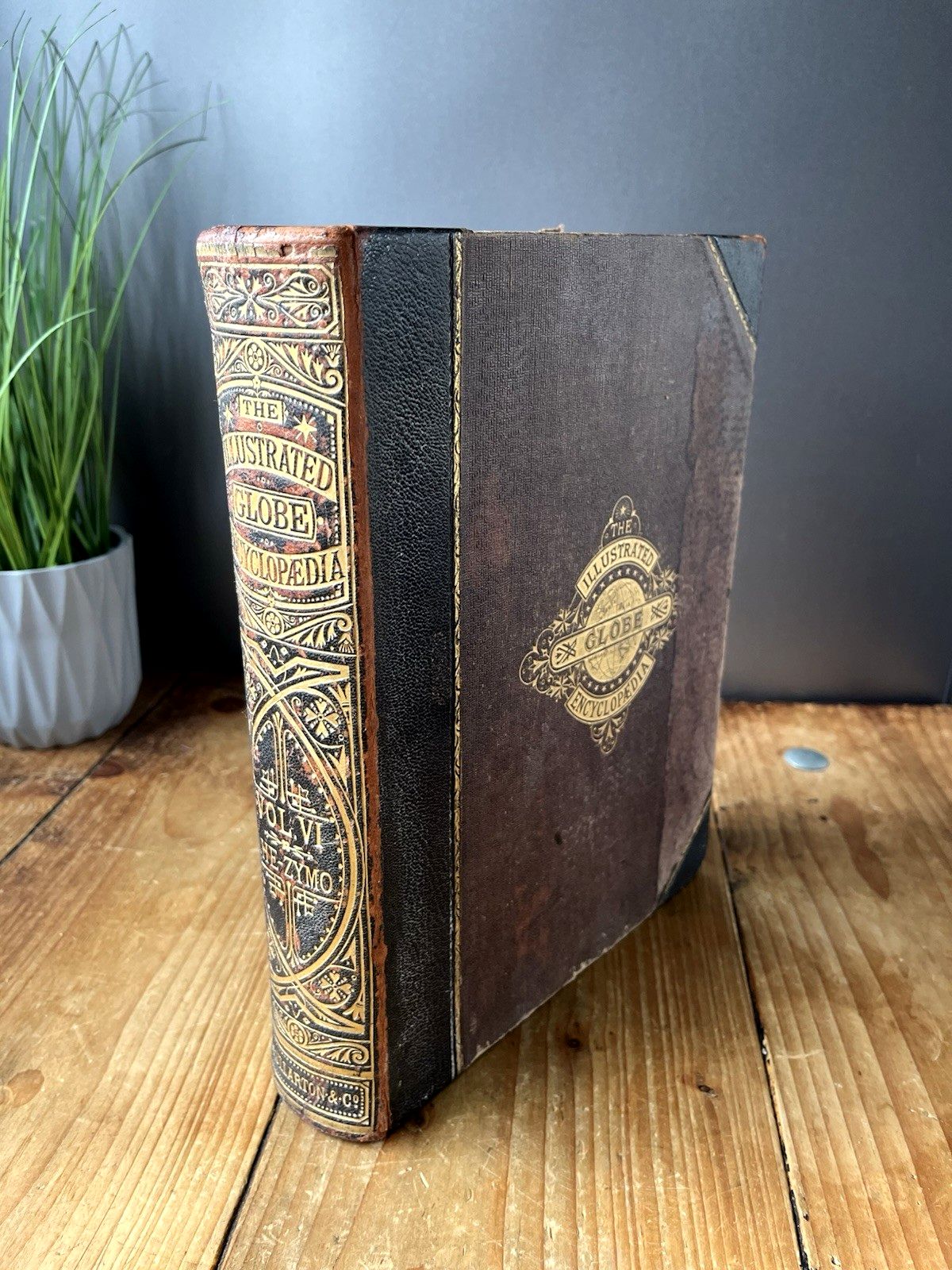 Antique Victorian Decorative Book 1881 Gilt Leather Globe Encyclopaedia Vol VI 6
