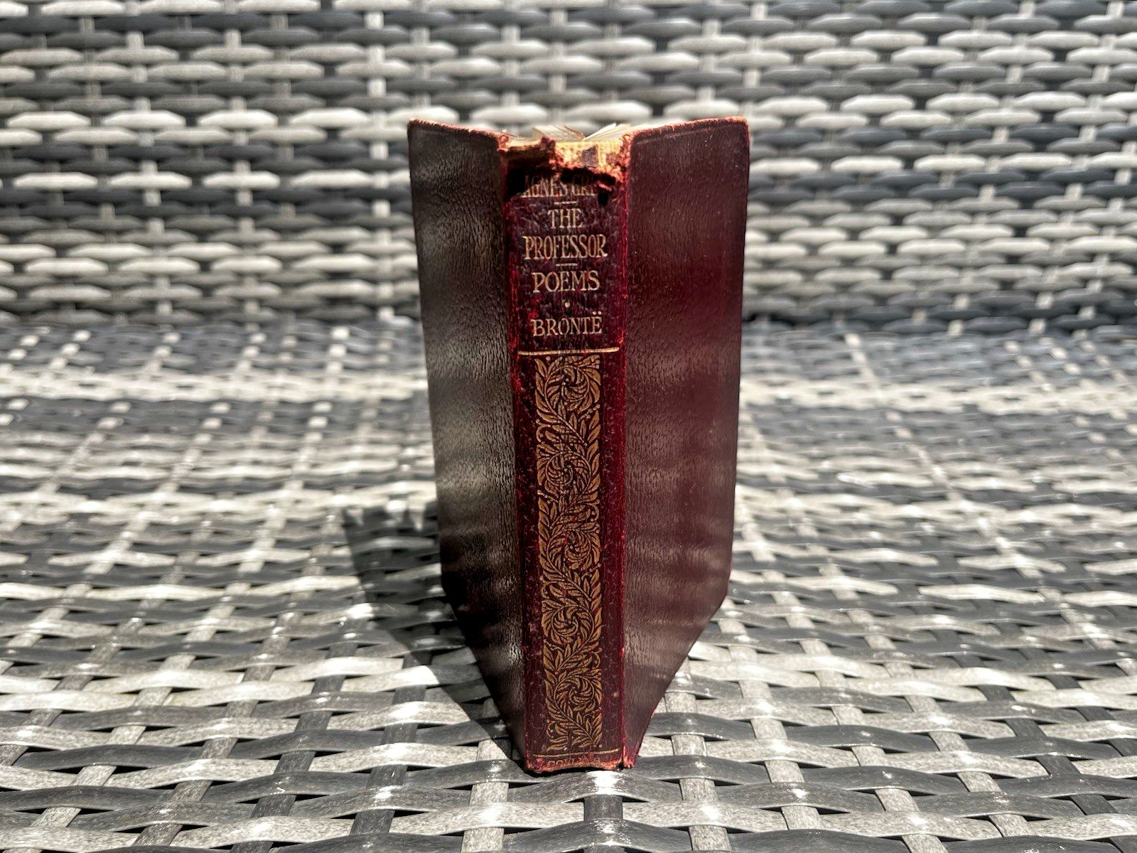 Antique Decorative Gilt Edge Leather Book Charlotte, Emily & Anne Bronte Sisters