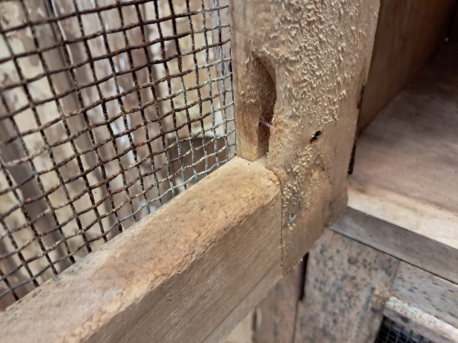 photo buy Rustic Chicken Coop Cupboard