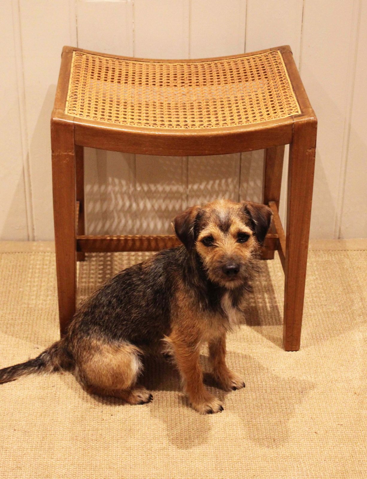 Beech Wood Cane Seated Stool photo vinterior