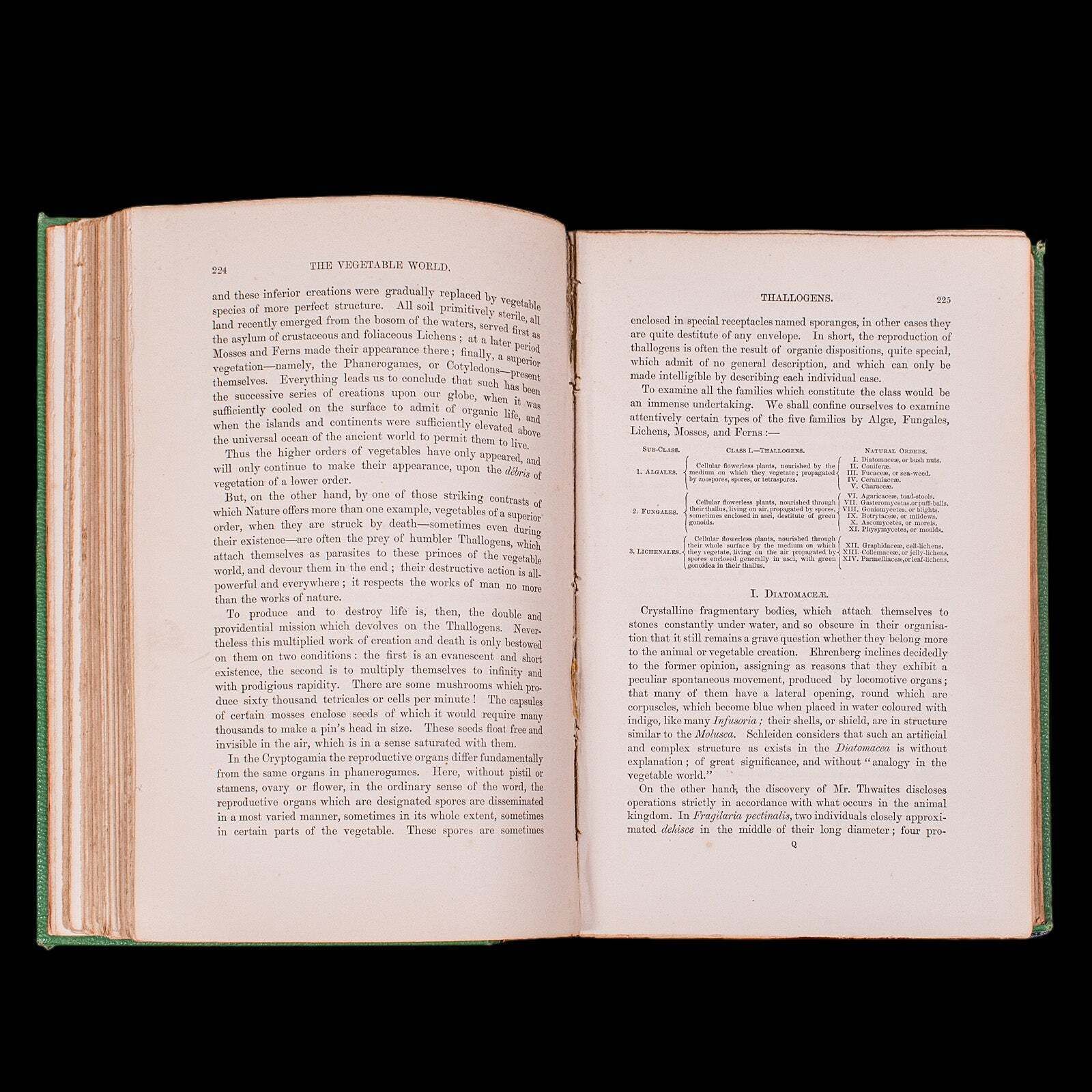 photo furniture Antique Reference Book, The Vegetable World, English, Louis Figuier, Victorian