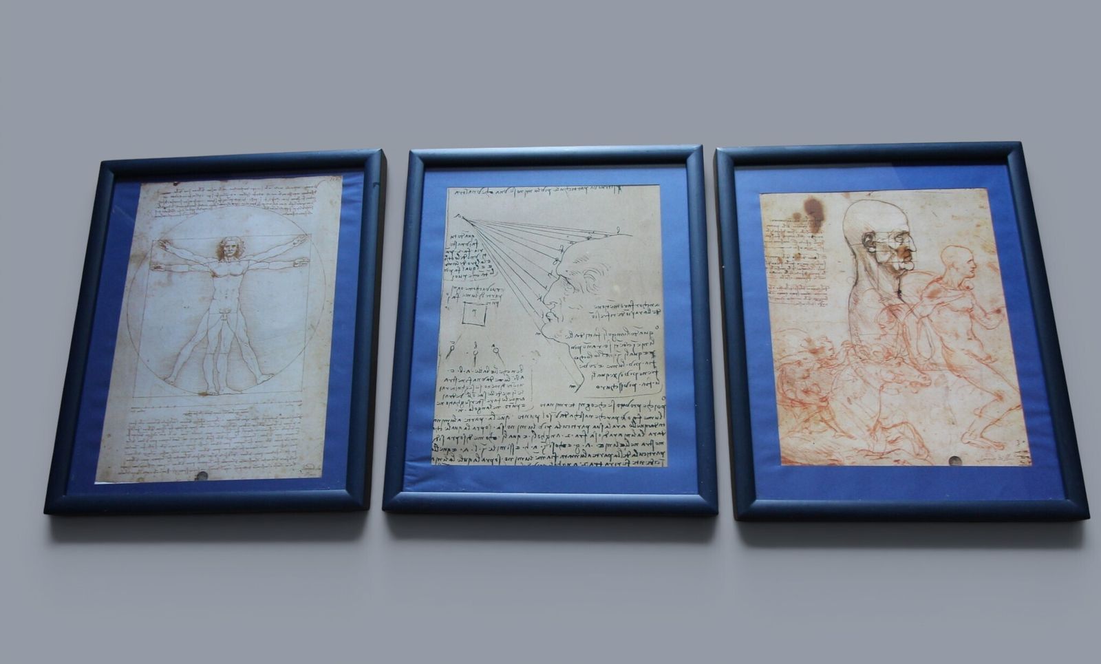 Set Of Three Glazed, Box‑Framed Prints Featuring Iconic Works By Leonardo Da Vinci   Vitruvian Man Anatomical Study The Geometry Of Vision