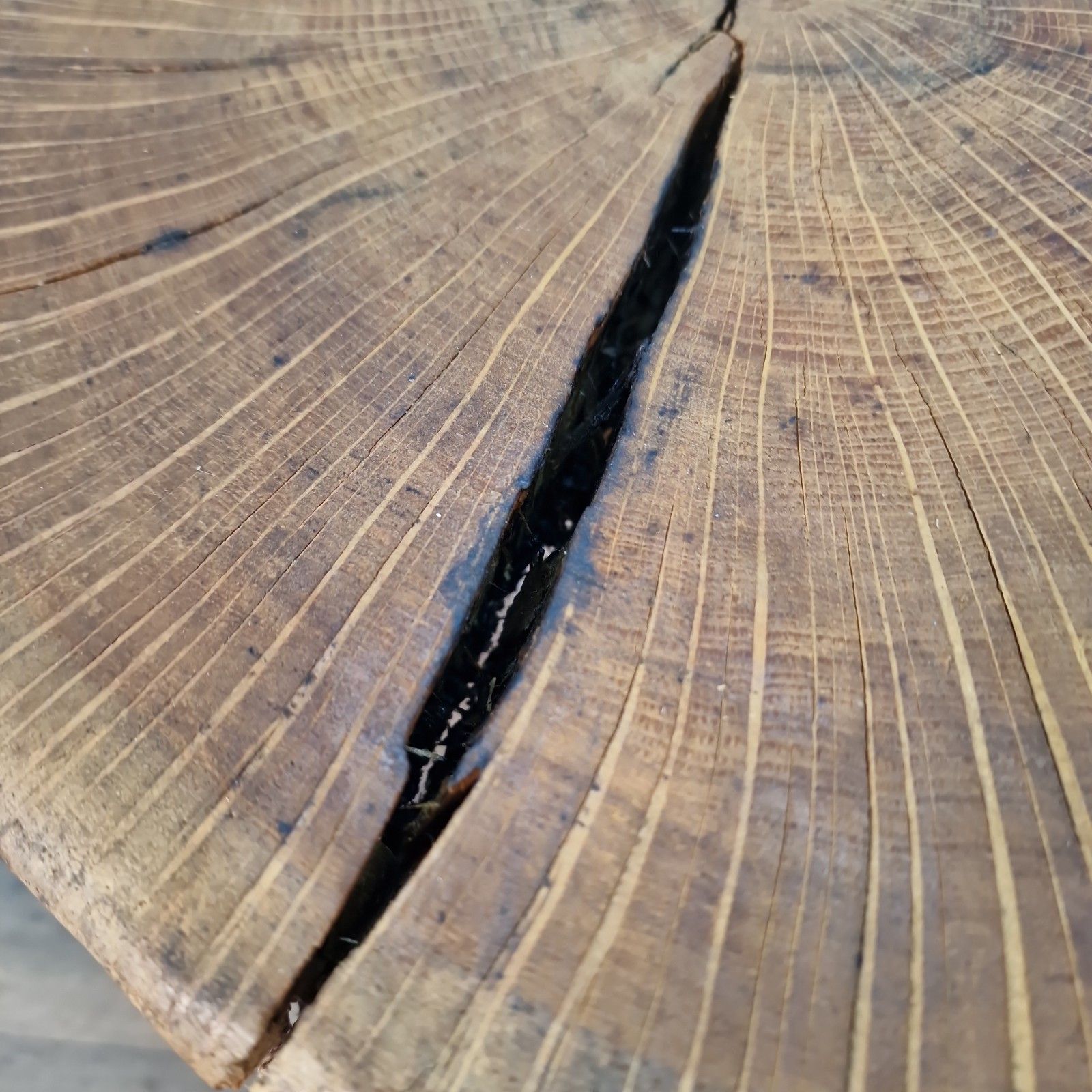photo for sale Rustic Tree Coffee Table Solid Hardwood Live Edge Trunk Root Branch Base Wood