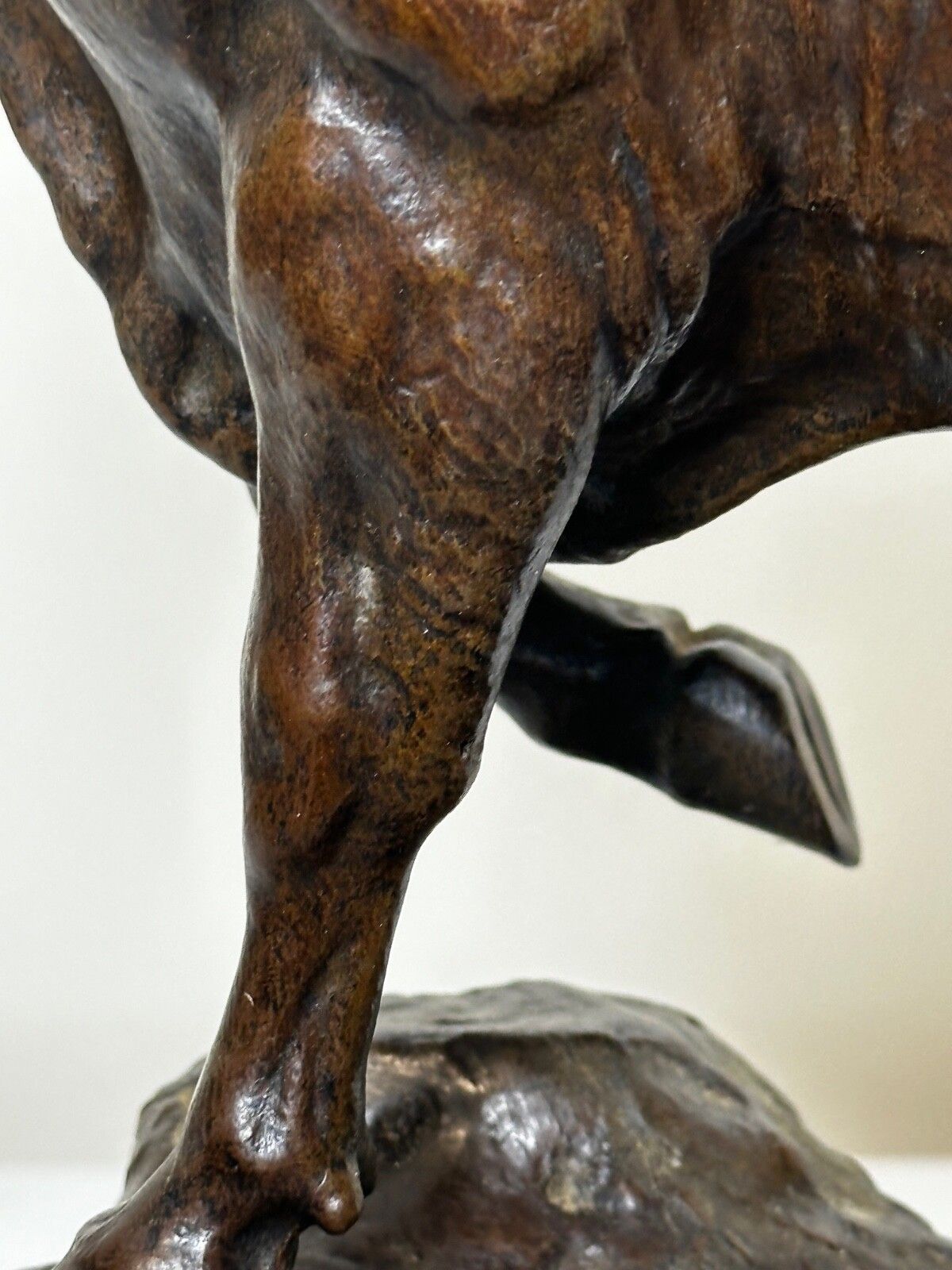 photo buy 19th Century Sculpture French Bronze Standing Prized Bull By Isidore Jules Bonheur