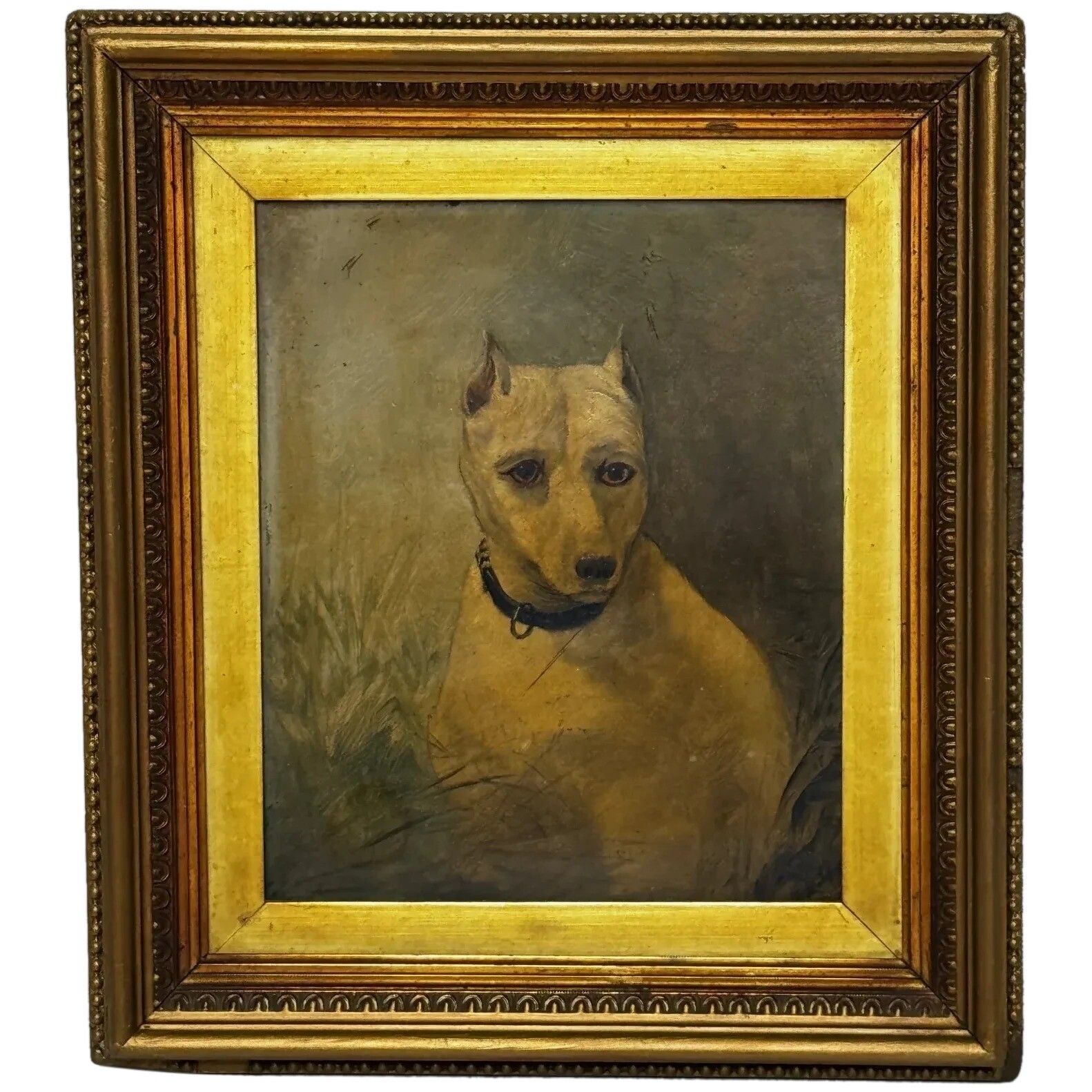 19th Century Oil Painting Animal Portrait  Extinct White English Terrier Follow Of John Emms
