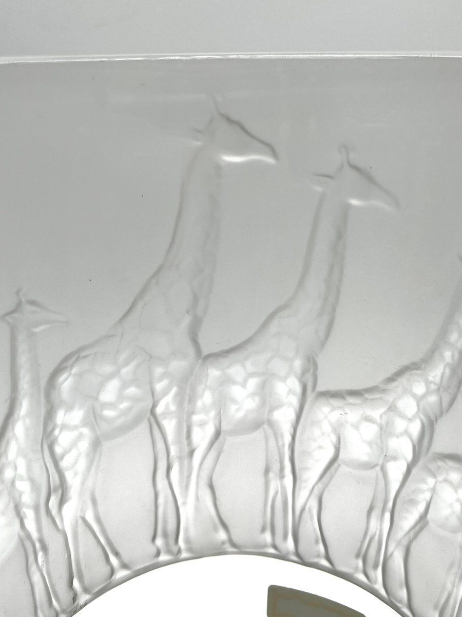 Home Decor Large Frosted Glass Vase With Giraffes By Nachtmann, 1990s photo