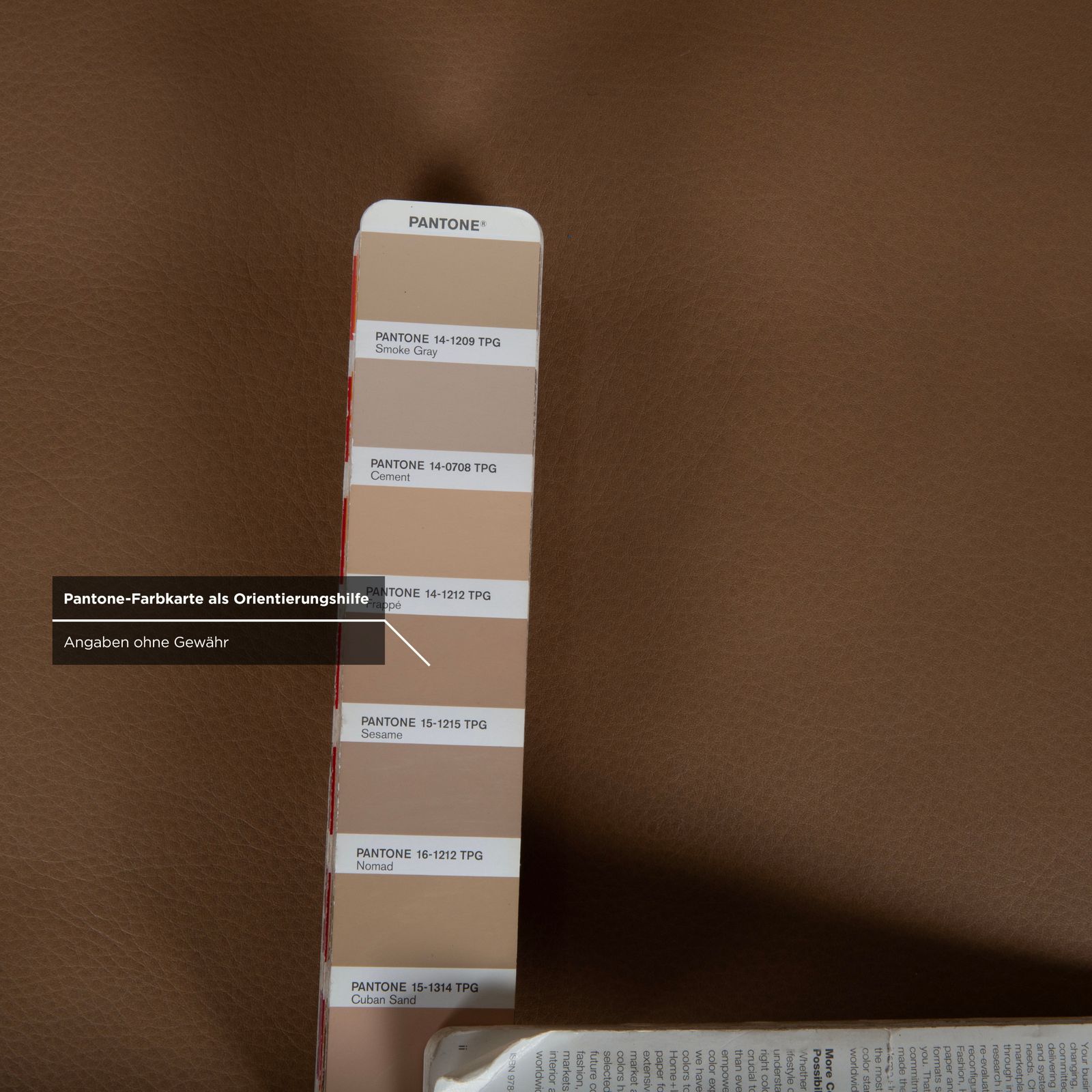 Canapé 2 places Willi Schillig Black Label Toscaa en cuir, beige brun moka photo buy