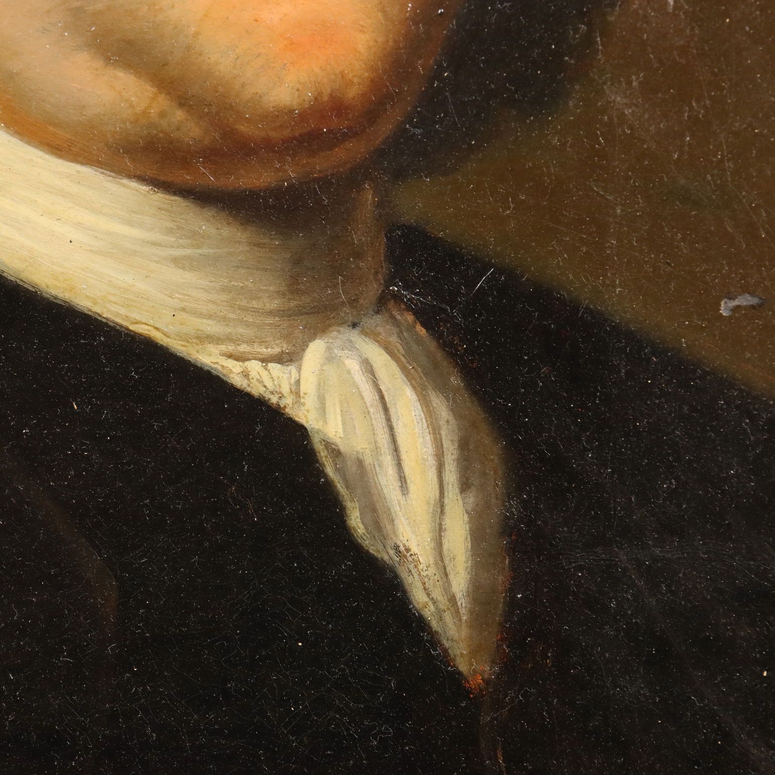 Tableau d'époque, portrait de Petrus Camper, huile sur panneau, XVIIIe siècle photo vinterior