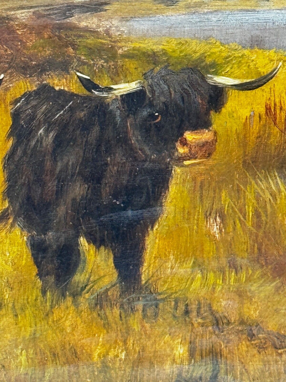 photo vinterior 19e-eeuws olieverfchilderij Longhorn Cattle West Scottish Highlands, gesigneerd door Gustave De Brianski