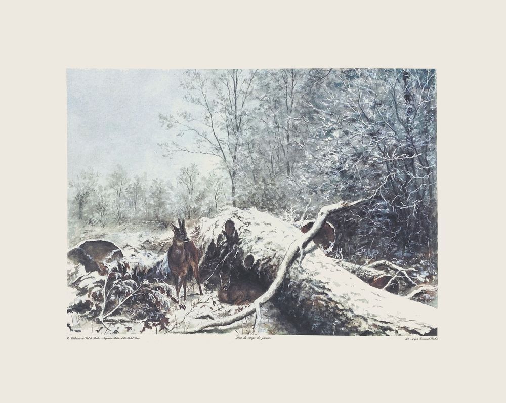 Emmanuel Frachon Screenprint Lot De 9 Sérigraphies 1994 photo furniture