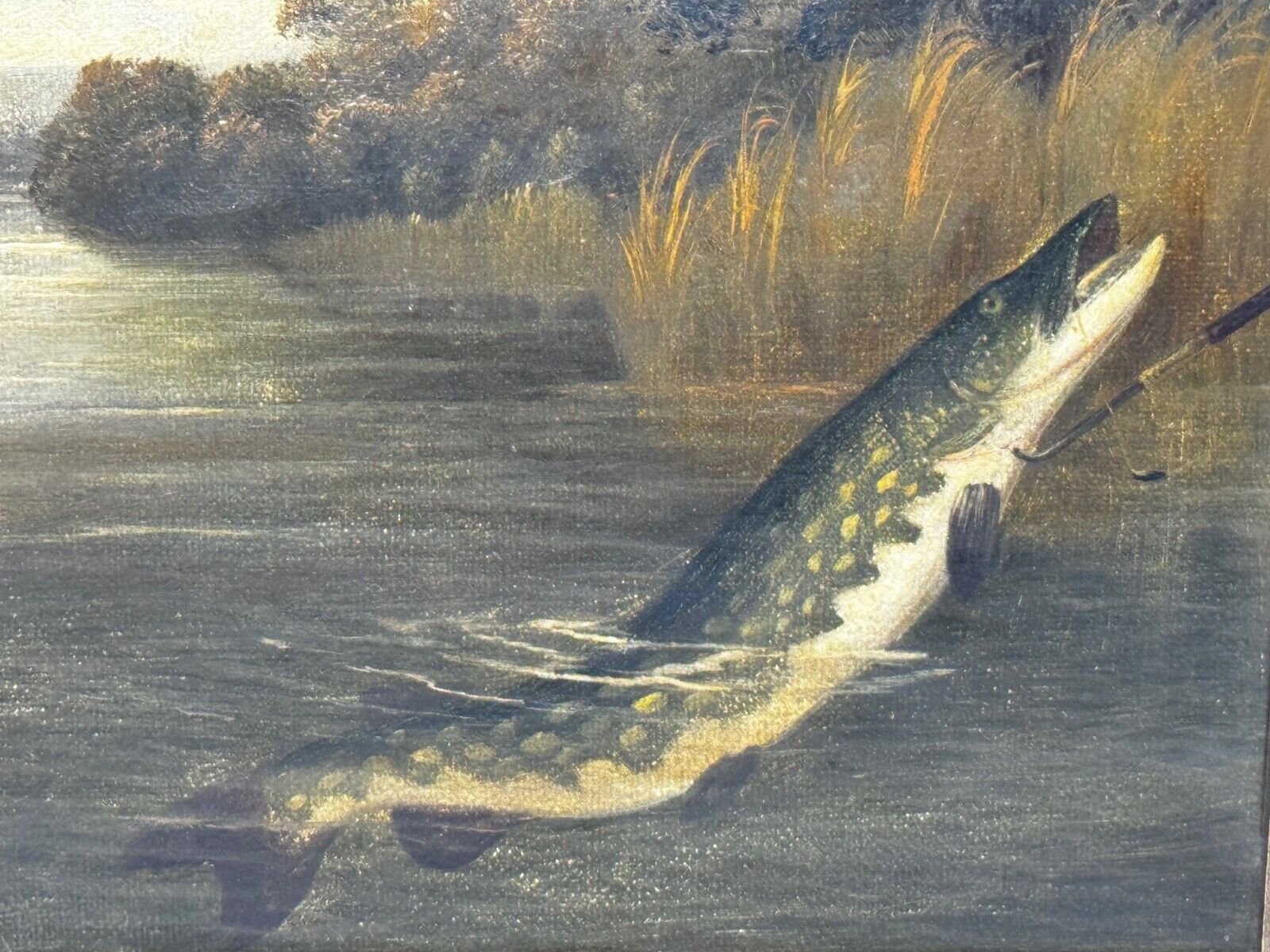 Angling Oil Painting Northern Pike Surfacing Caught By Arthur Roland Knight 1890 photo for sale