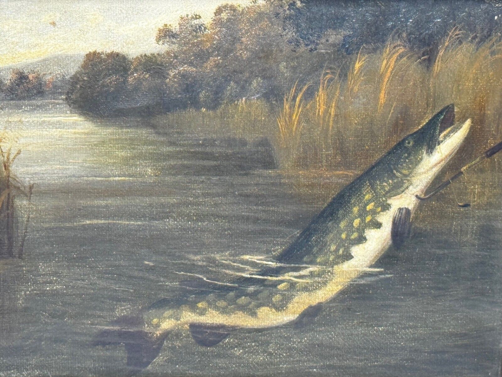 Kunst Hengelsport olieverfchilderij snoek aan de oppervlakte gevangen door Arthur Roland Knight 1890 photo