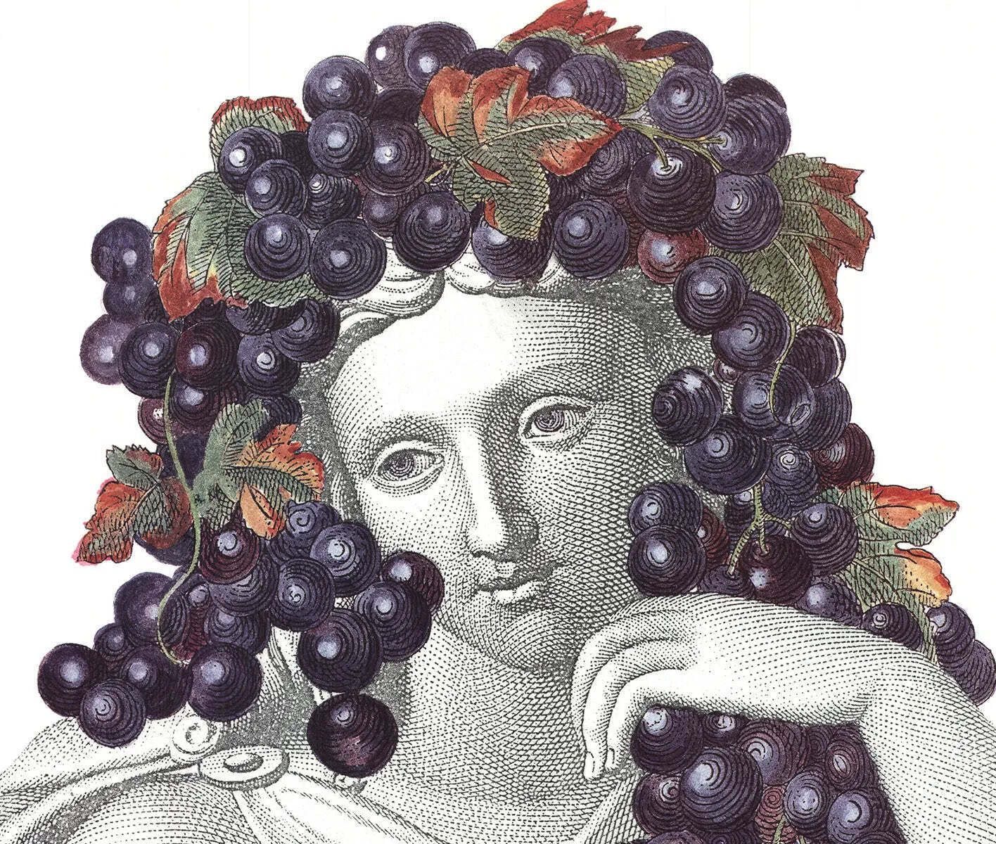 Affiche d'art, lithographie offset Piero Fornasetti Portrait With Grapes, 1995 photo for sale