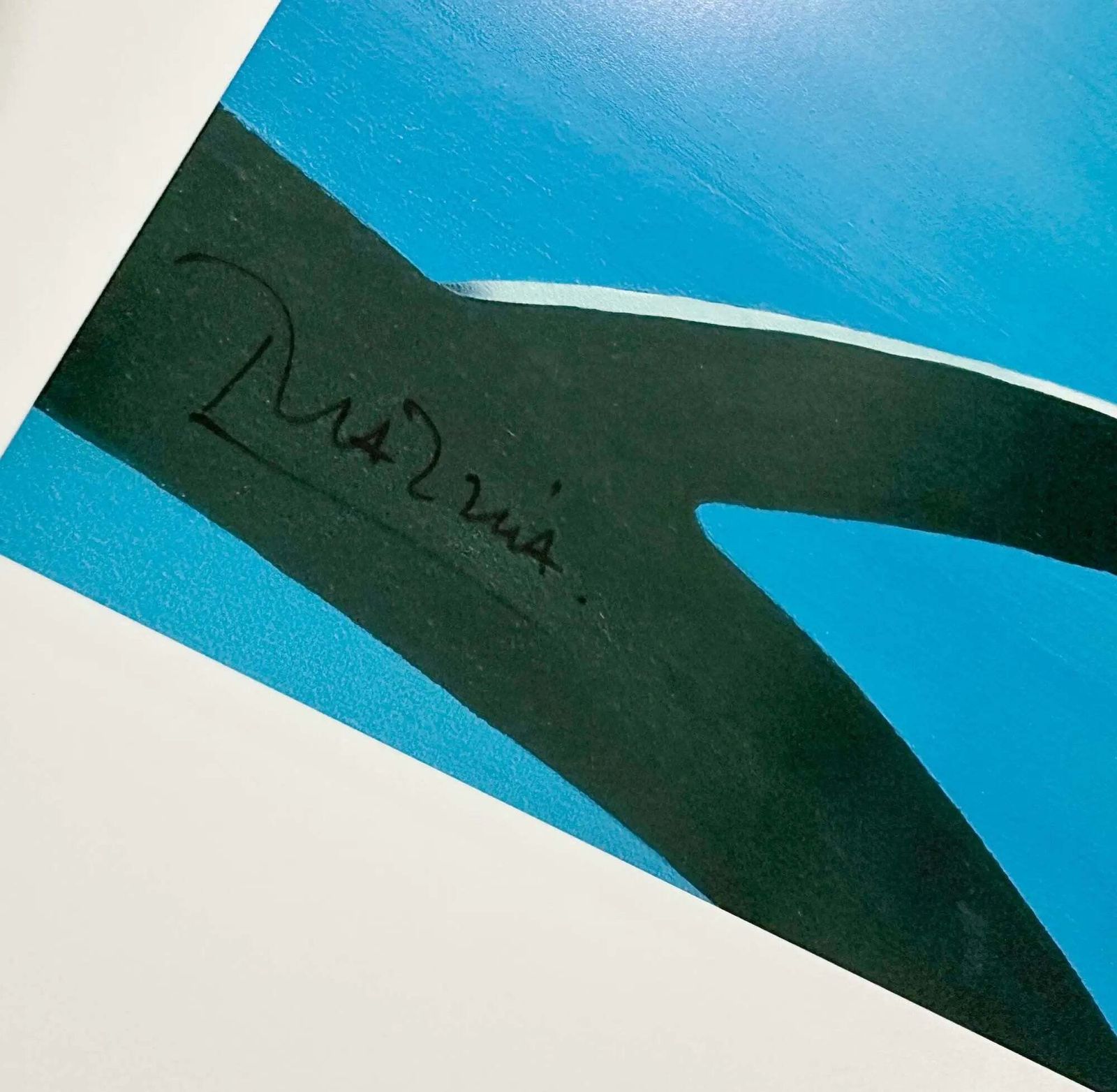 Razzia Louis Vuitton Trophy Nice 2009 handgesigneerde originele poster photo furniture