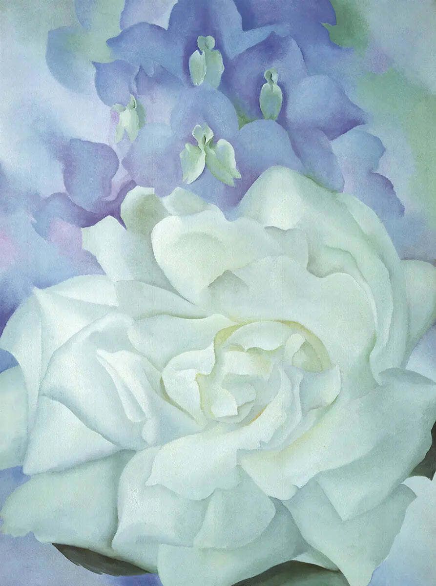 Affiche d'art Georgia O'Keeffe White Rose With Larkspur No.2 photo furniture