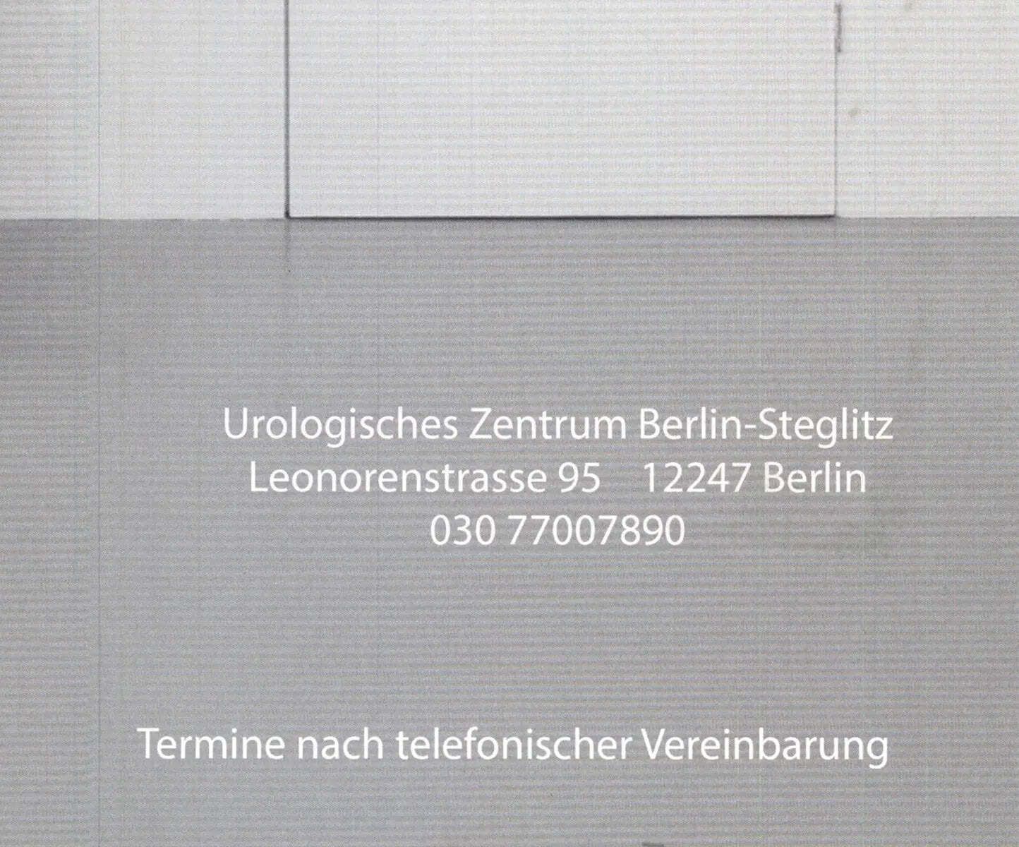 Mari Reijnders A Painting A Day Exhibition Lithograph Poster 2022 photo for sale