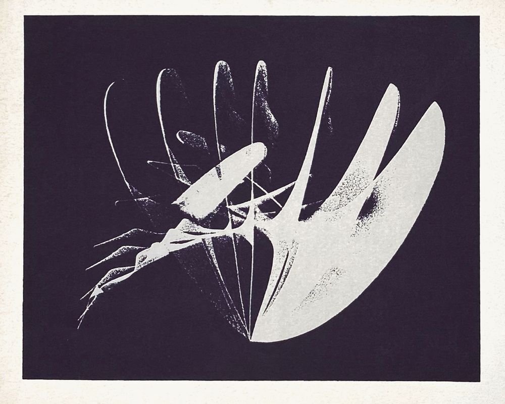 Enrique Broglia Zeefdruk Compositie 1974