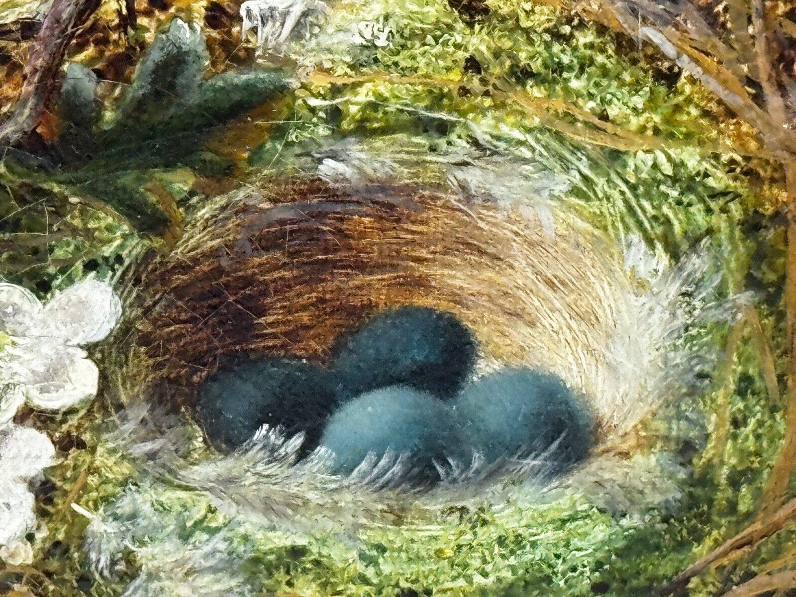 Oliver Clare Victoriaans olieverfchilderij bloesem vogelnest & blauwe eieren ca.1880-1890 photo buy