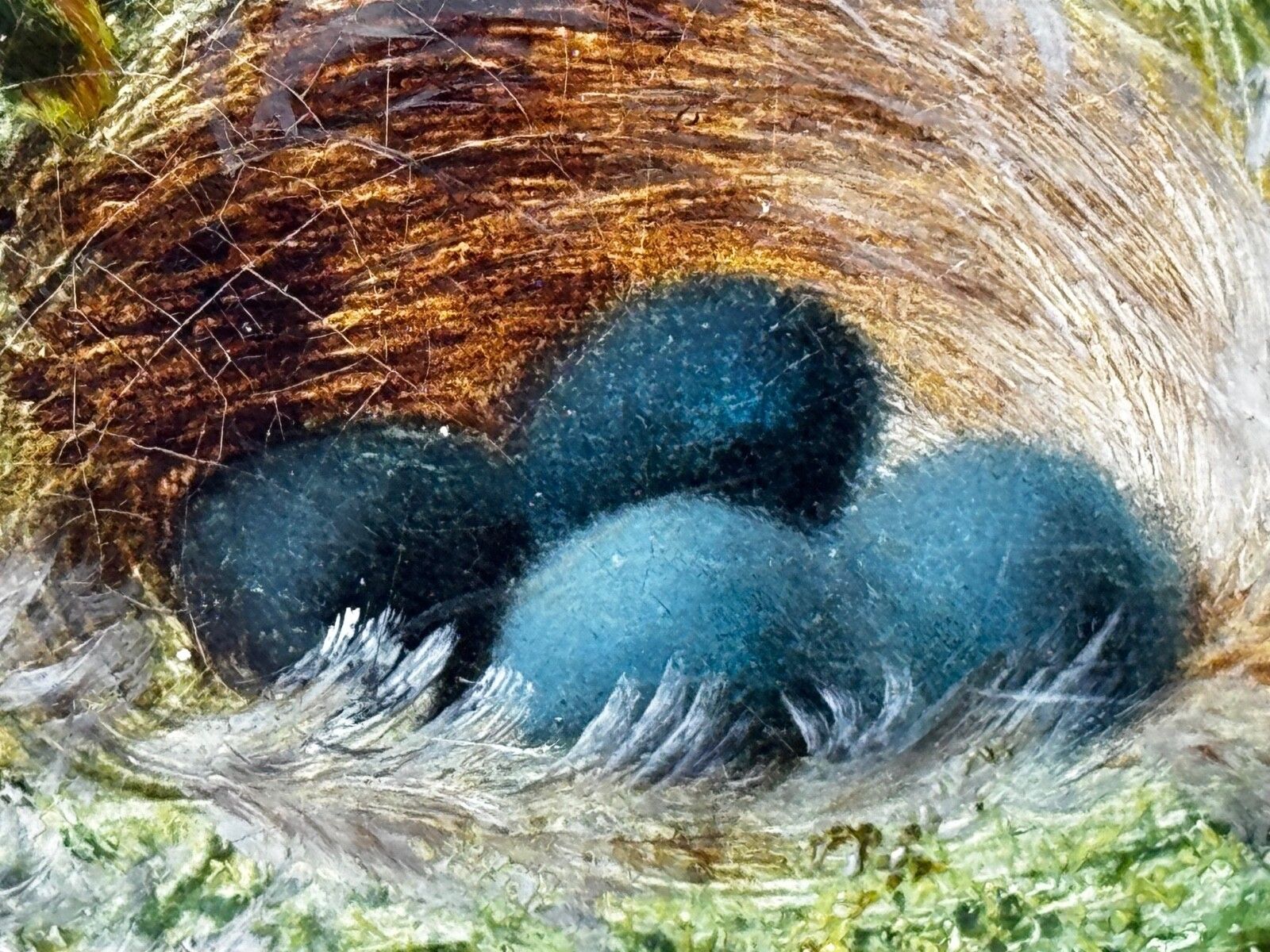 photo furniture Oliver Clare Victorian Oil Painting Blossom Bird’s Nest & Blue Eggs C.1880–1890