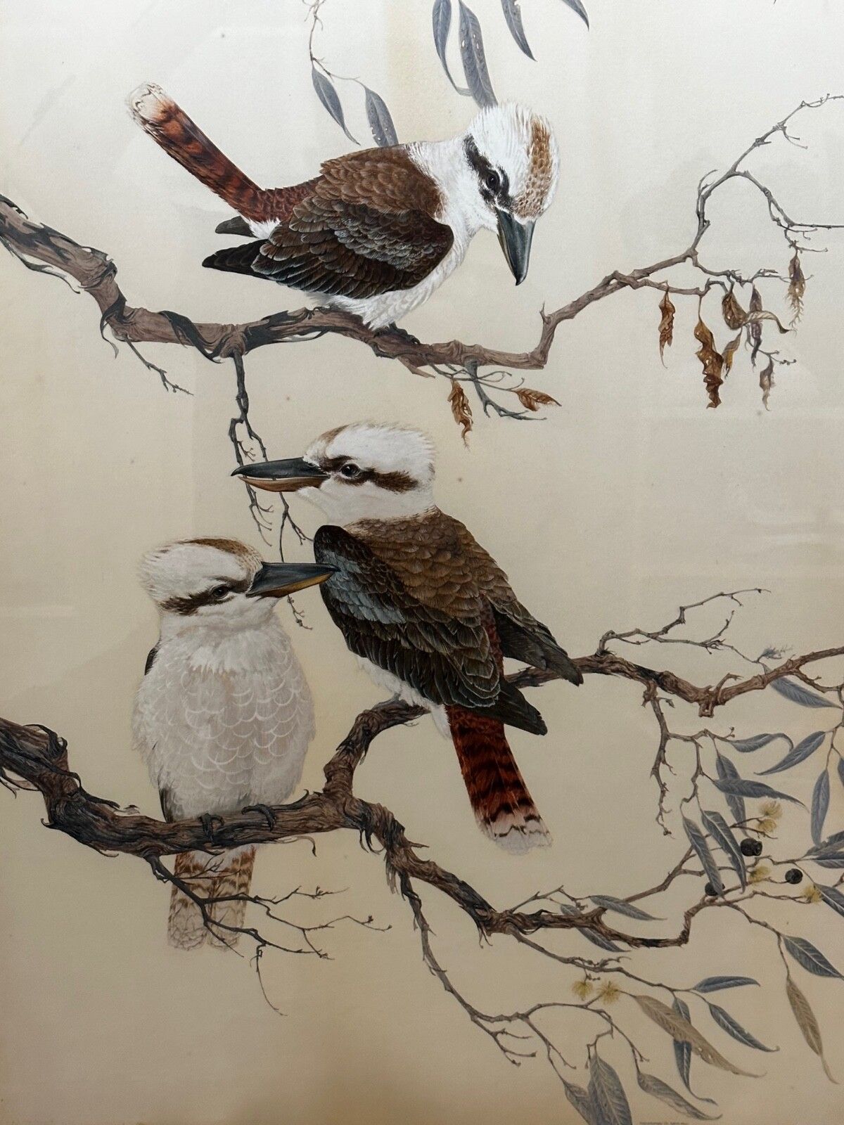 Large Mid Century Australian Painting Group Of Birds 3 Kookaburras In Bush Signed Robin Hill photo for sale
