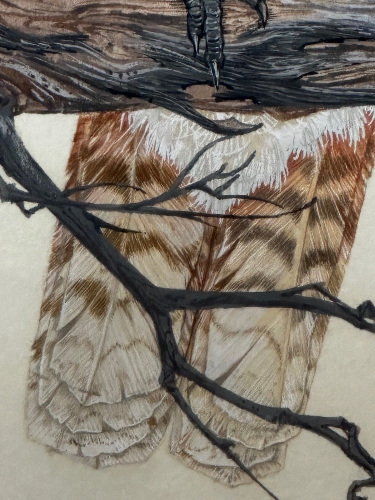 photo buy Large Mid Century Australian Painting Group Of Birds 3 Kookaburras In Bush Signed Robin Hill