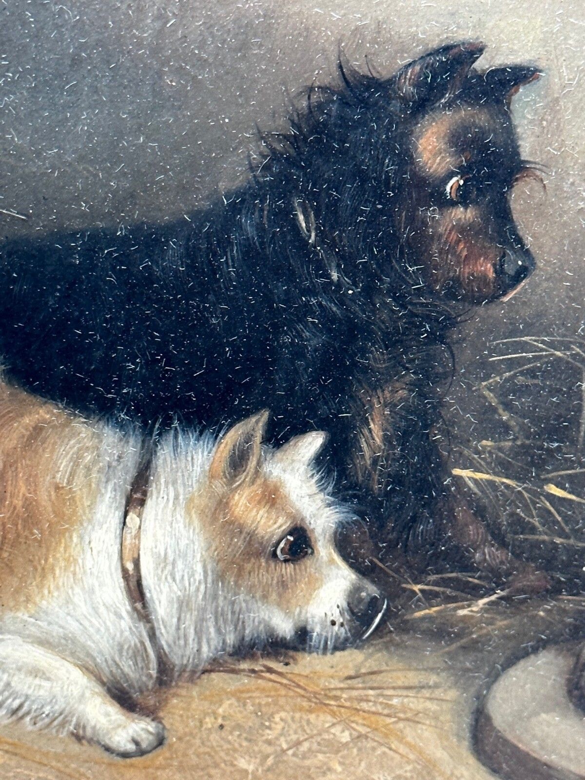 19e-eeuws olieverfchilderij jacht 2 terrierHonden op het spoor rattenJacht gesigneerd George Armfield gedateerd 1867 photo for sale