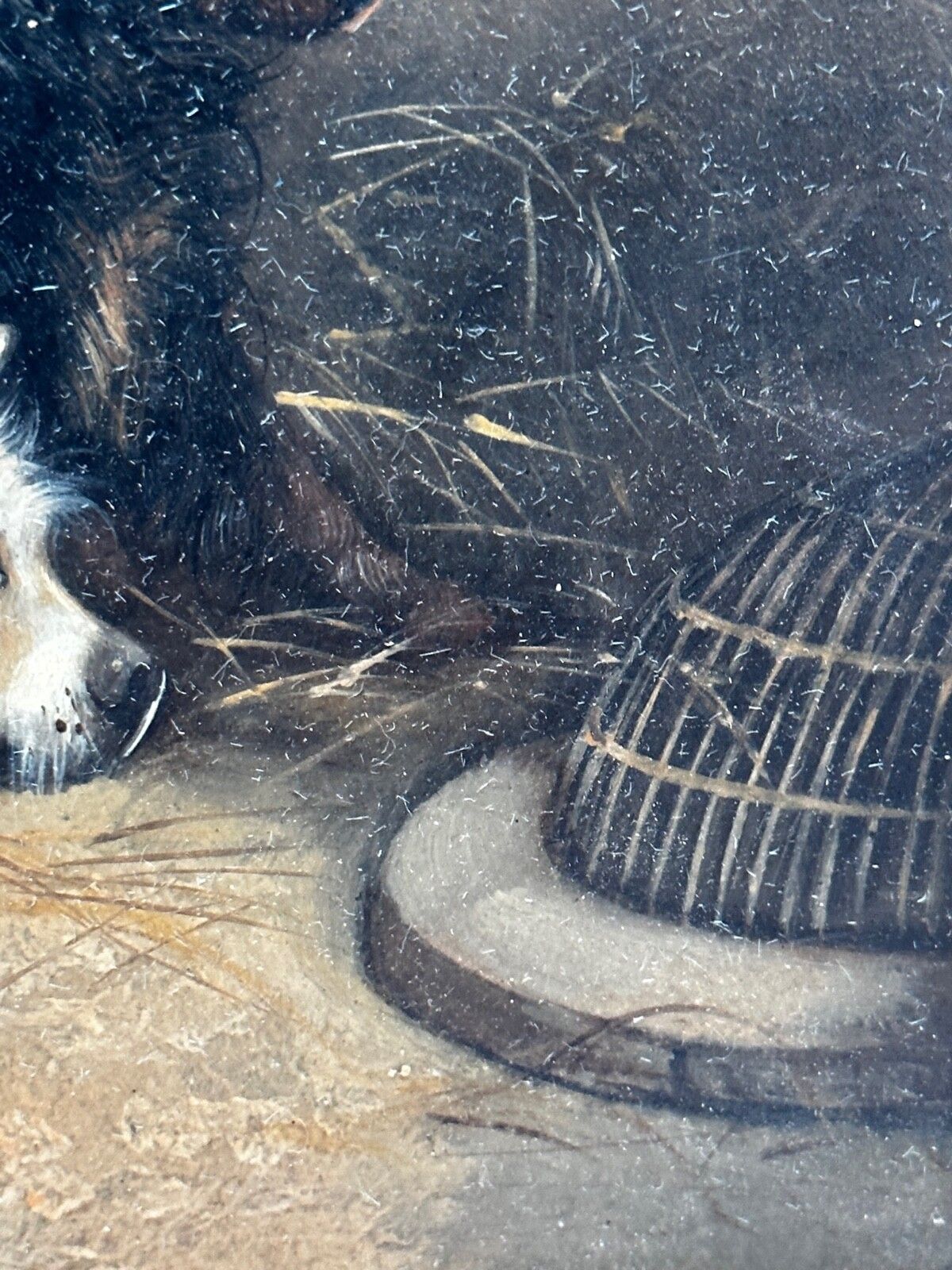 19e-eeuws olieverfchilderij jacht 2 terrierHonden op het spoor rattenJacht gesigneerd George Armfield gedateerd 1867 photo Kunst