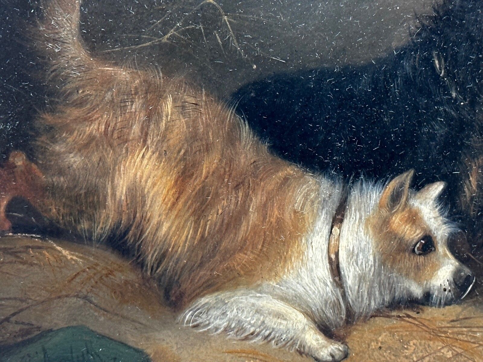 photo for sale 19e-eeuws olieverfchilderij jacht 2 terrierHonden op het spoor rattenJacht gesigneerd George Armfield gedateerd 1867
