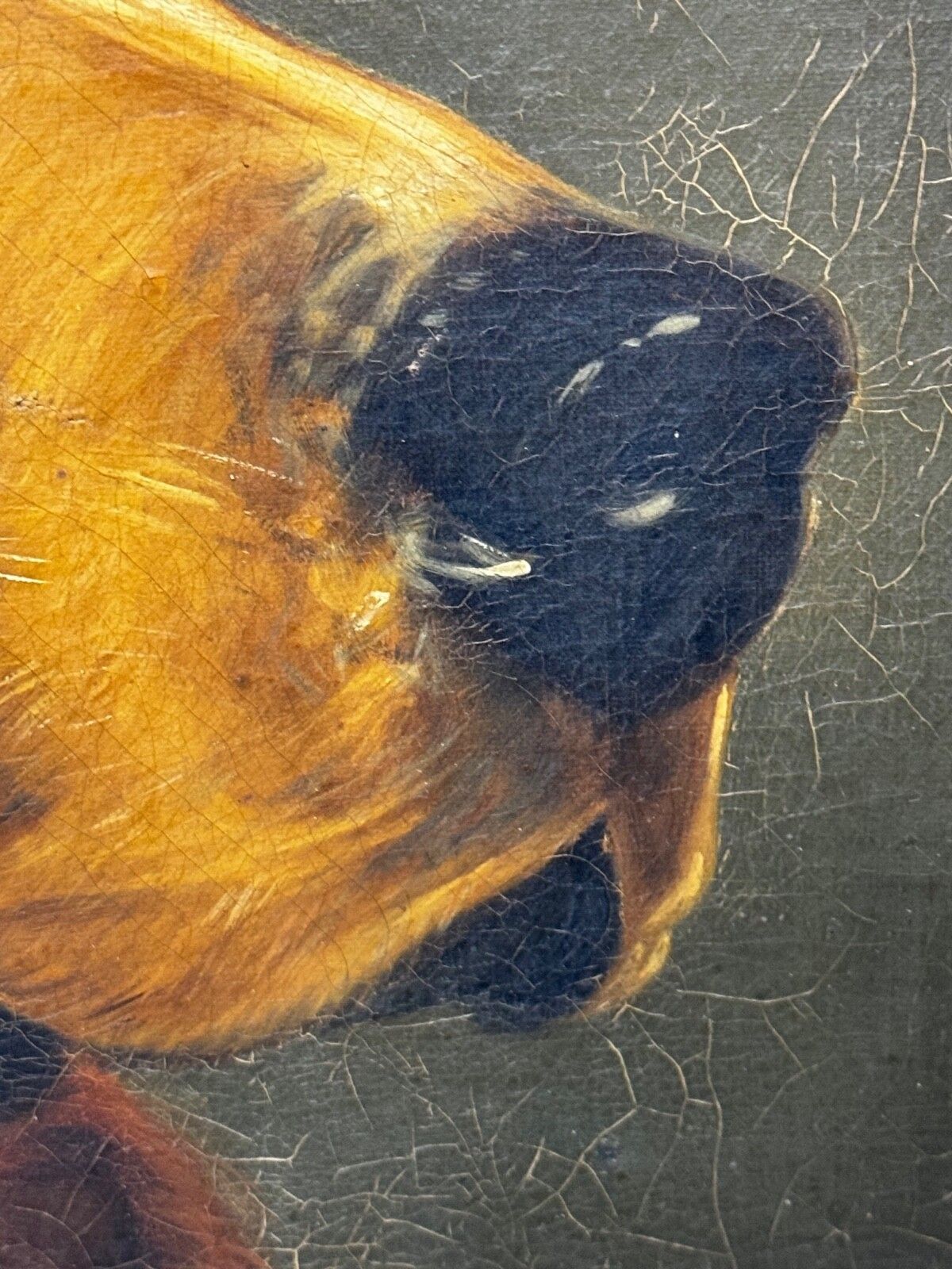 photo for sale 19e-eeuws olieverfchilderij, Landseer's Mastiff Bloodhound, geprezen hond Odin door William Mitchell van Maryport
