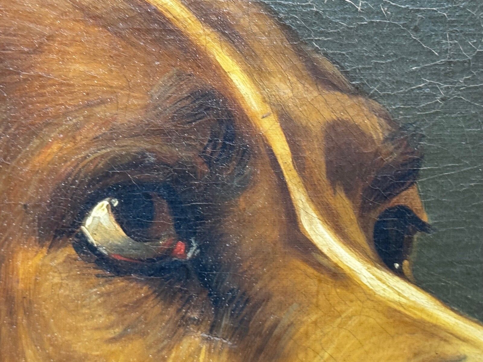 Kunst 19e-eeuws olieverfchilderij, Landseer's Mastiff Bloodhound, geprezen hond Odin door William Mitchell van Maryport photo