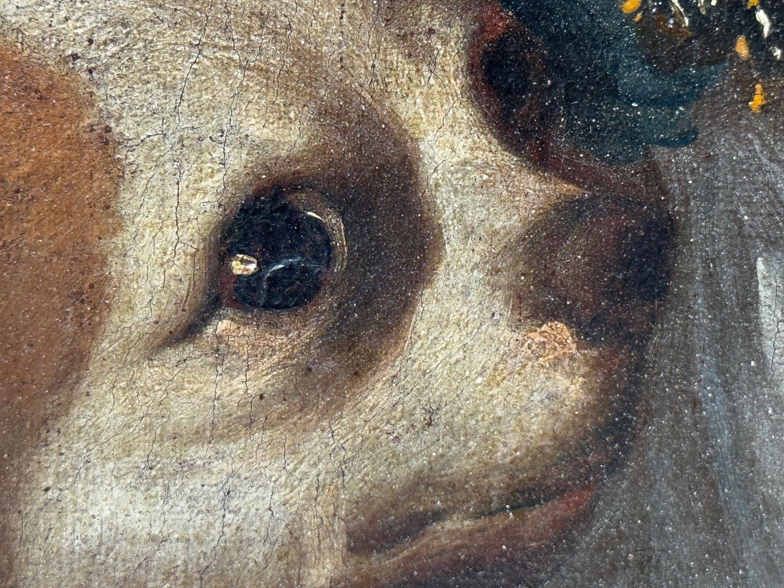 photo vinterior 17e-eeuws olieverfchilderij, Een Ontroerende Band, Jongen met King Charles Spaniel-pup, Cirkel van Mary Beale, ca. 1680