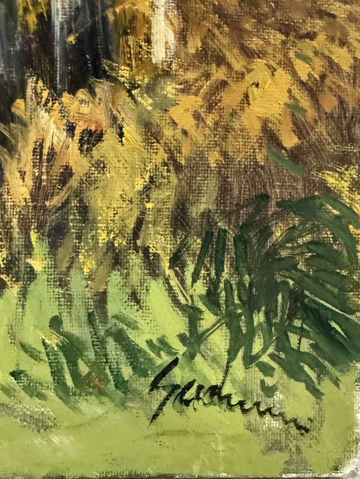 Antoni Sadurni Autumn Birch Forest Oil Painting Catalan Impressionist Woodland Landscape Spain 1990s photo furniture