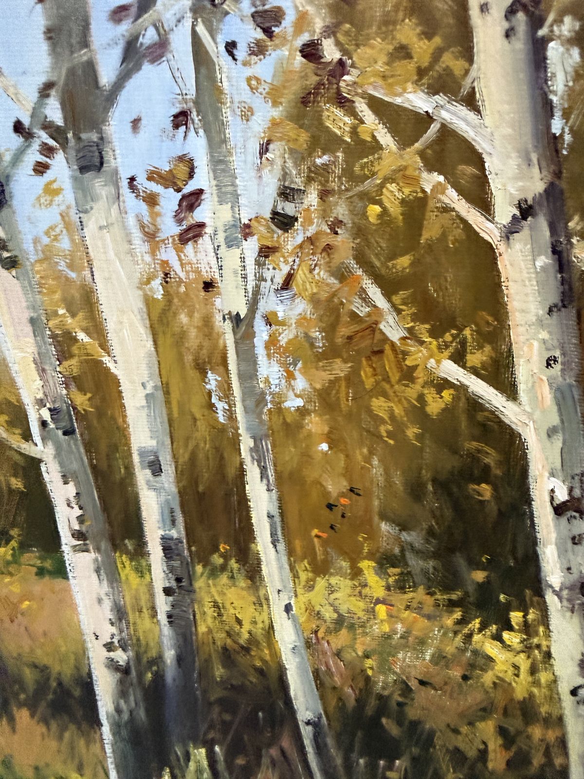 Antoni Sadurni, Forêt de bouleaux en automne, peinture à l'huile, paysage impressionniste catalan, Espagne, années 1990 photo Art