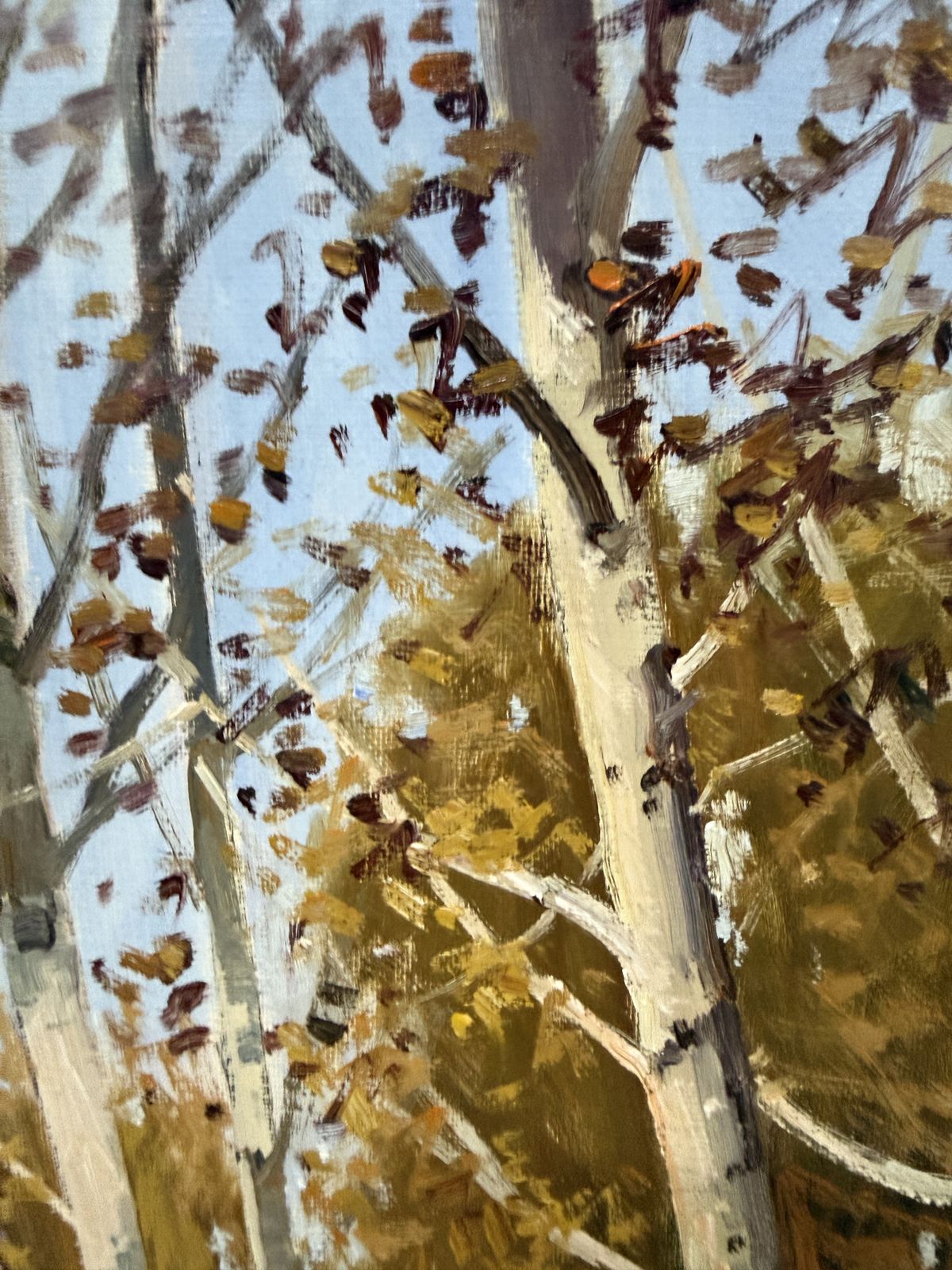 Antoni Sadurni Herfst Berkenbos Olieverfschilderij Catalaans Impressionistisch Boslandschap Spanje jaren 1990 photo 600.0