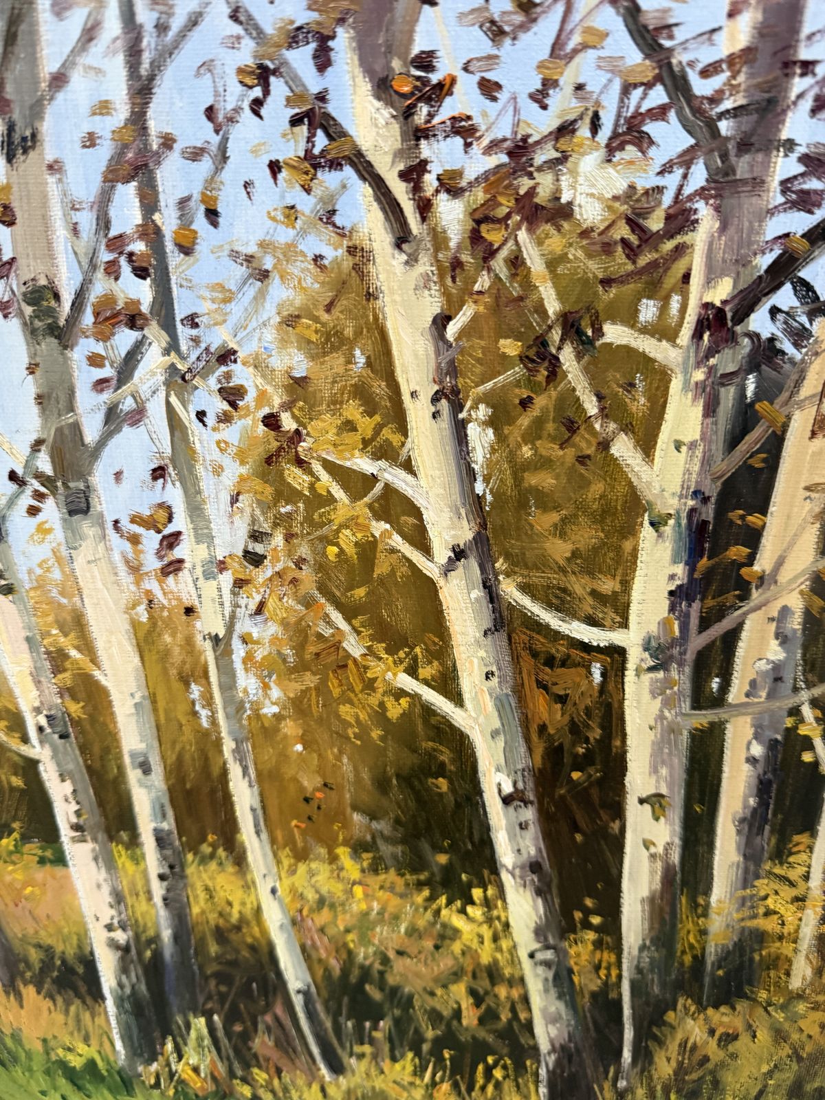 Antoni Sadurni Herfst Berkenbos Olieverfschilderij Catalaans Impressionistisch Boslandschap Spanje jaren 1990 photo buy