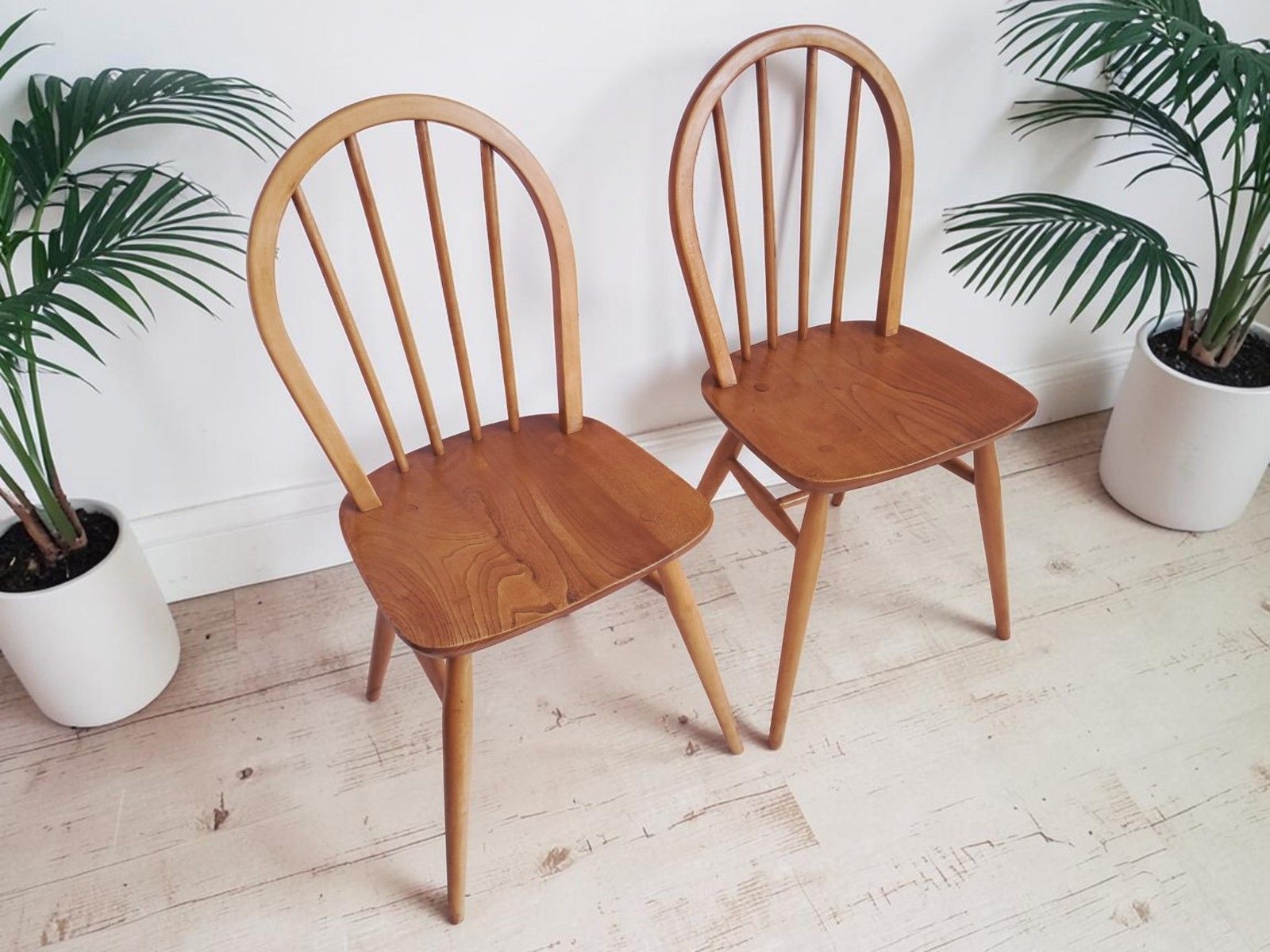 Mid Century Ercol Windsor Dining Chairs Pair Hoop Back Light Elm Chairs 1960 photo Furniture