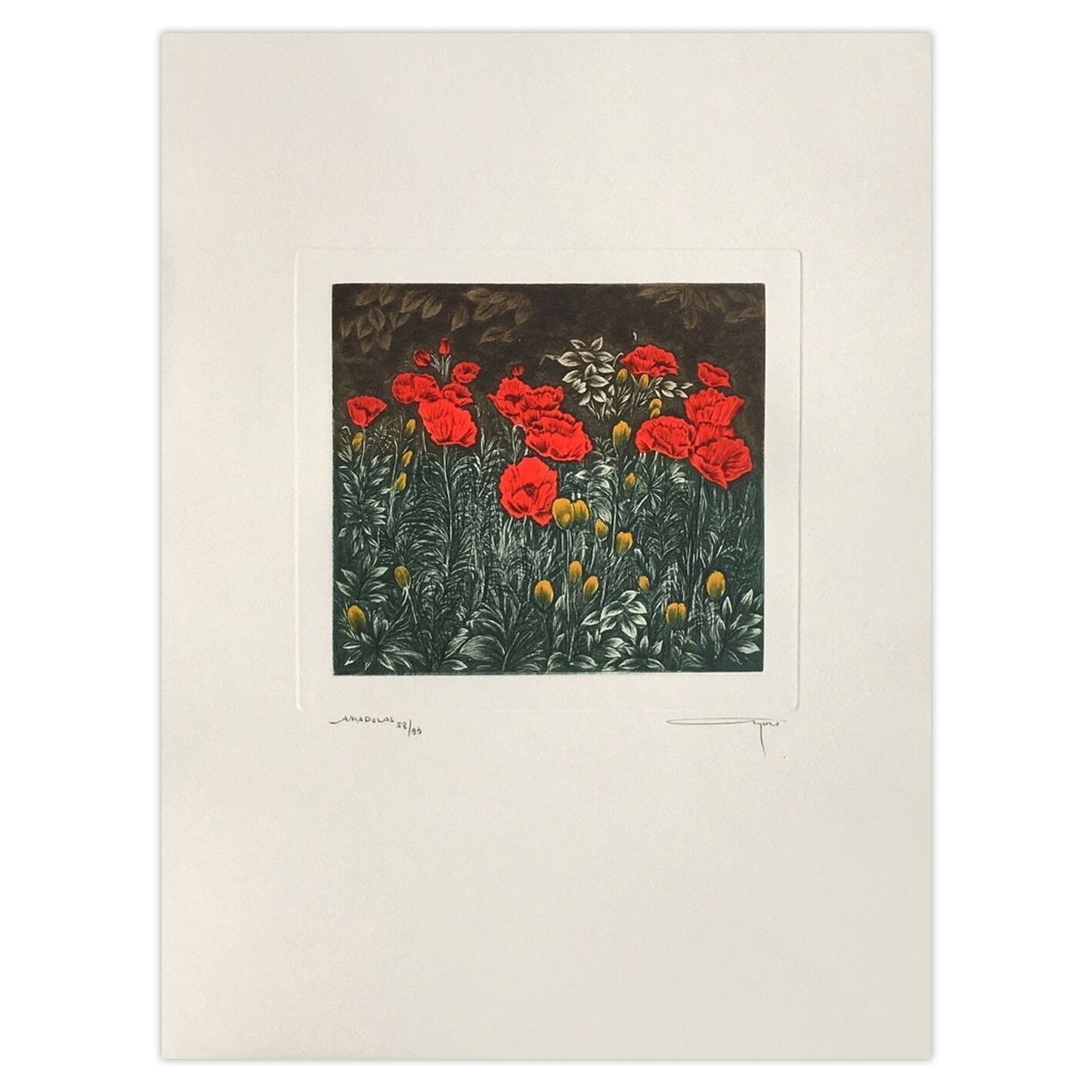 Alfonso Ayuso Signed Etching Amadolas