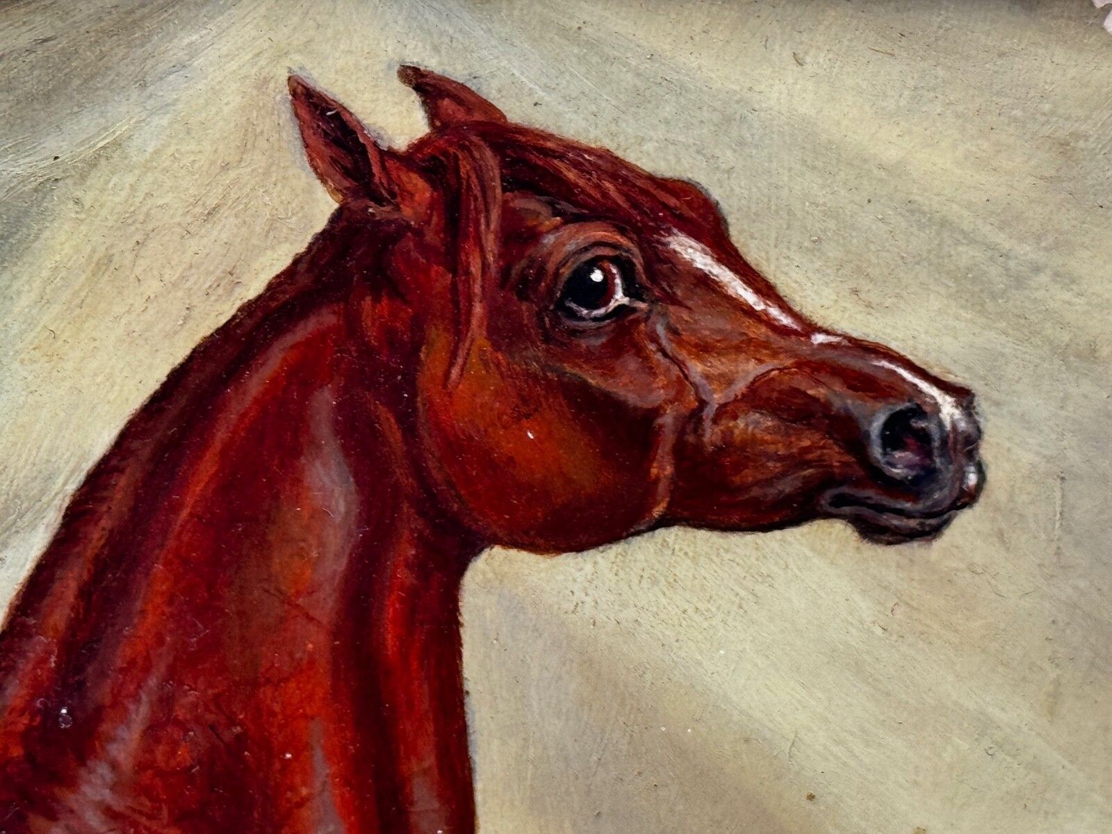photo for sale Victoriaans olieverfchilderij Arabisch paard Bombay Stables India ca. 1900 stijl Spalding