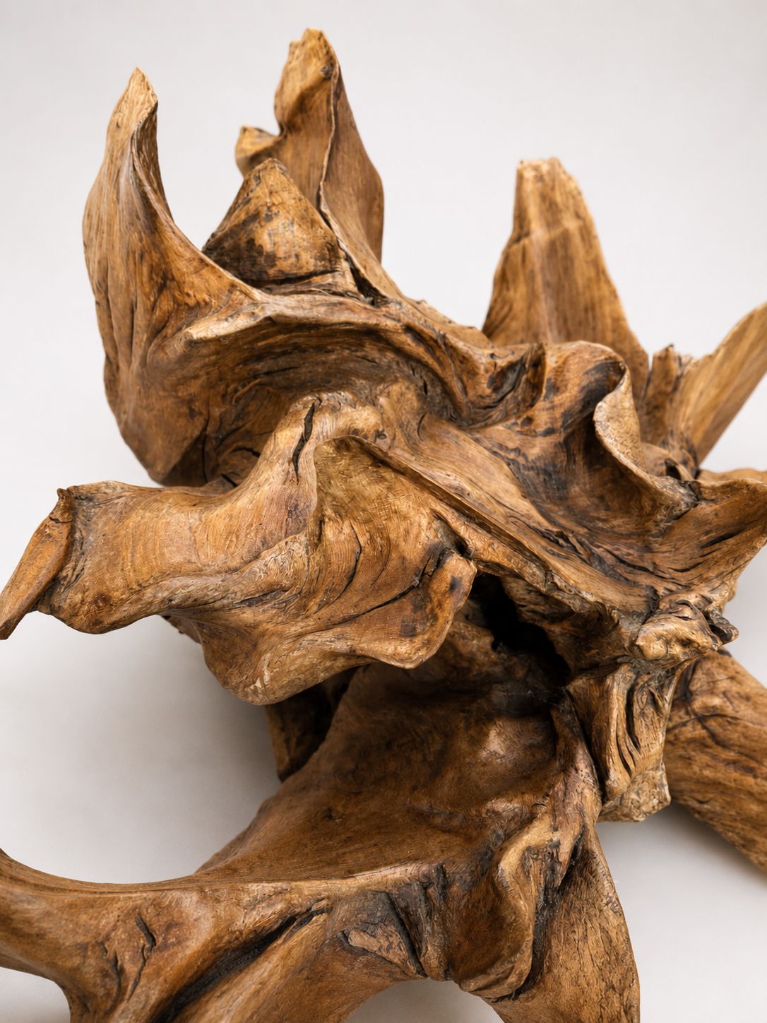 Massive Natural Root Sculpture Abstract Organic Wood Art Centrepiece photo furniture