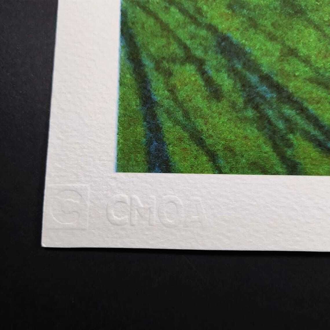Andy Warhol "Flowers" gelimiteerde editie lithografie van Cmoa, jaren 1980 °°°°Ddp-verzending naar het Verenigd Koninkrijk, inclusief invoerrechten. photo 411.0