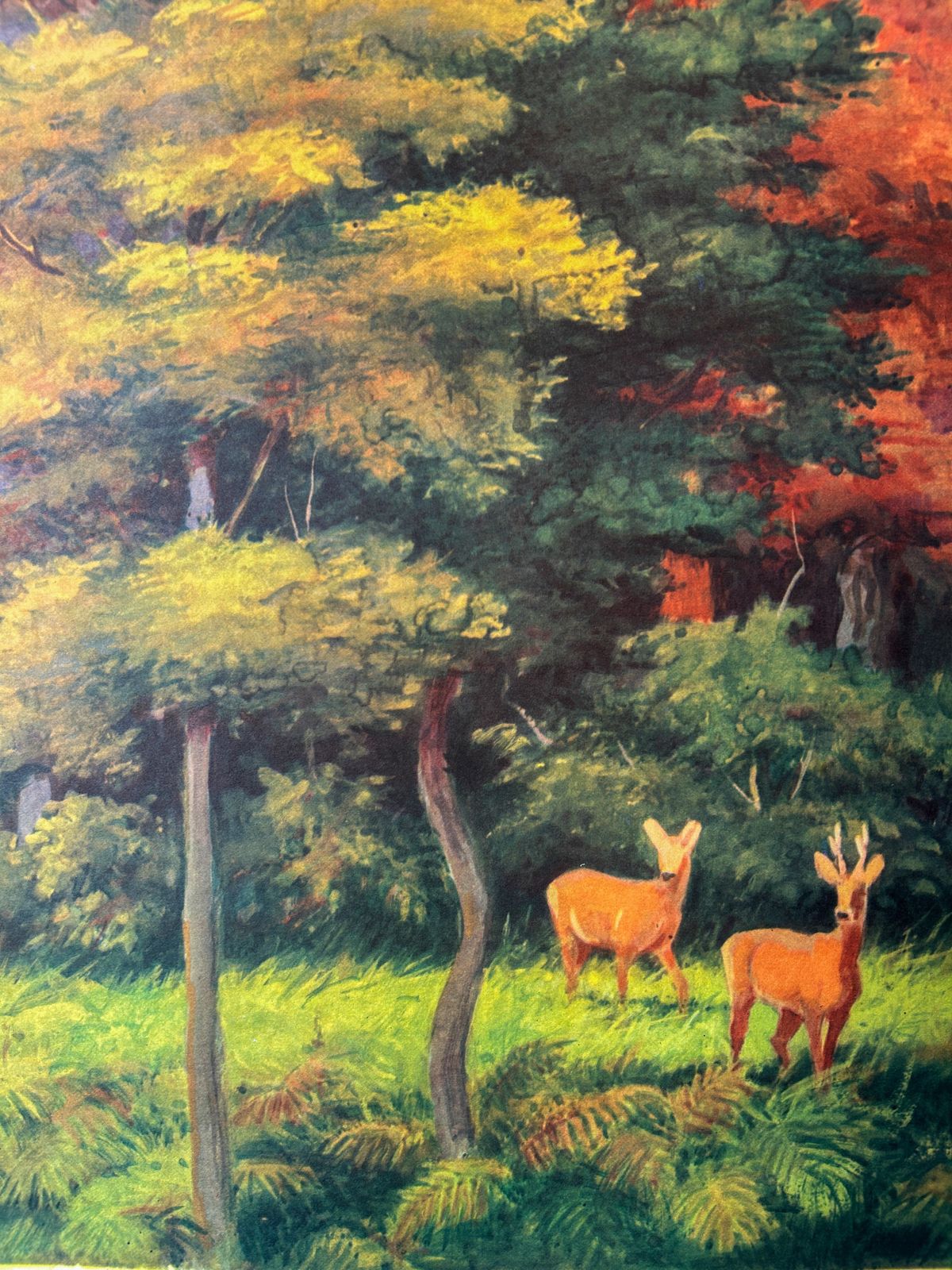 Original Soviet Vintage Educational Wildlife Poster – Eurasian Forest Animals: Deer, Bison, Wild Boar, Beaver | Ussr School Chart photo furniture