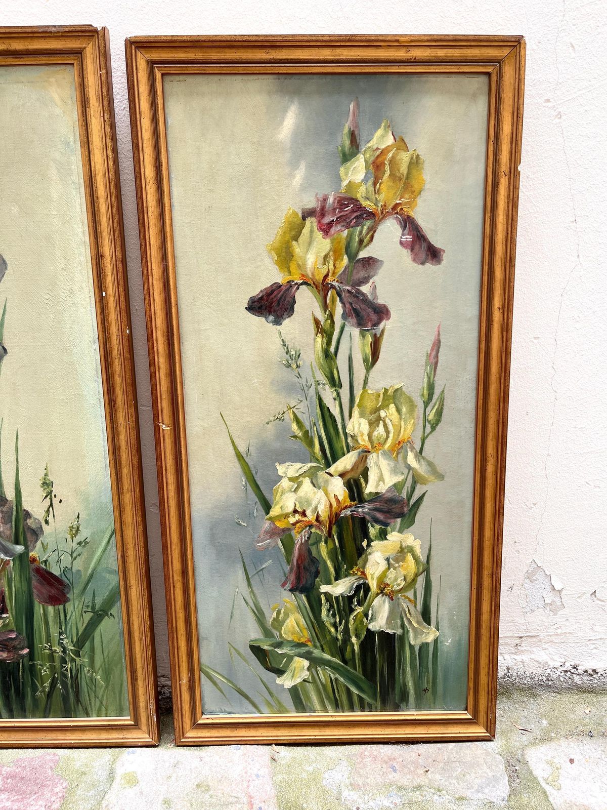 Paar irissschilderijen uit 1902, antieke stillevens met vergulde lijsten, bloemenschilderijen photo Kunst