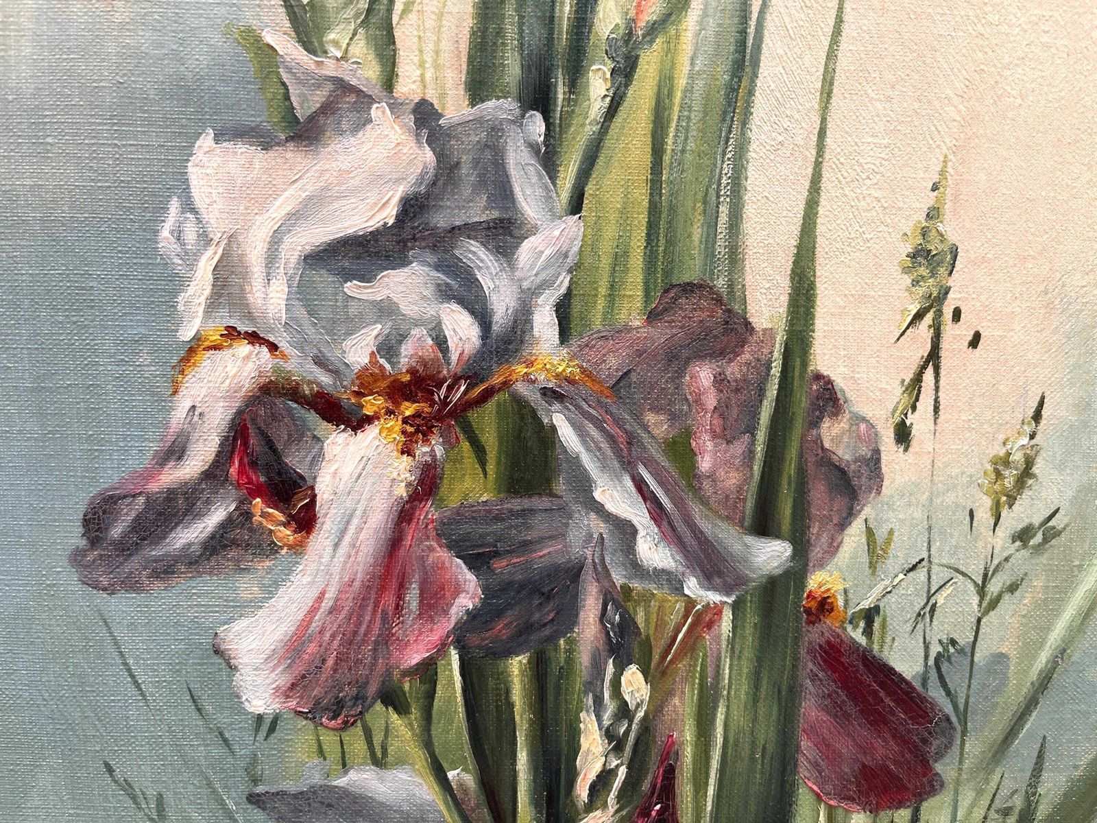 Paar irissschilderijen uit 1902, antieke stillevens met vergulde lijsten, bloemenschilderijen photo 542.0