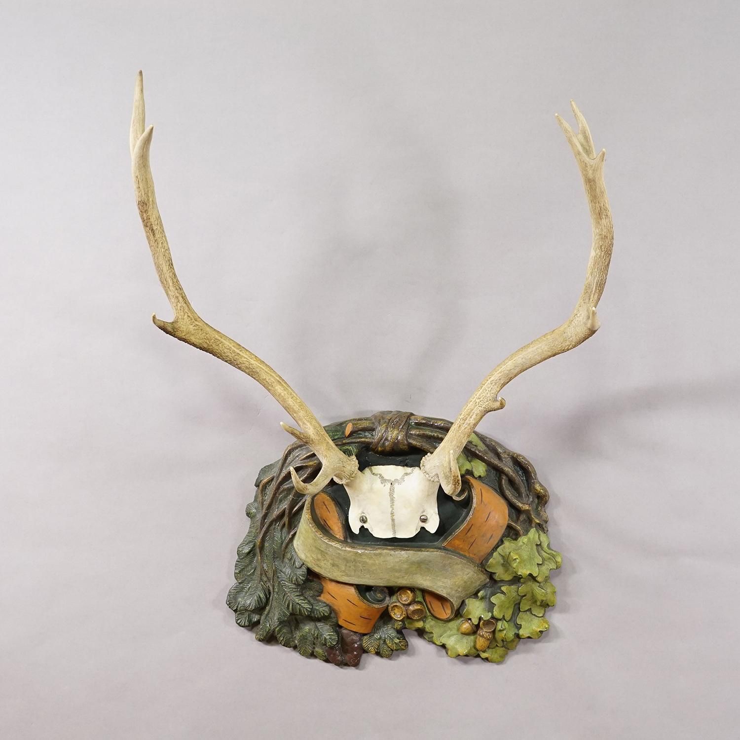 Black Forest 12-ender hertentrofee op gipsen plaquette, Duitsland, jaren 1920 photo Woonaccessoires