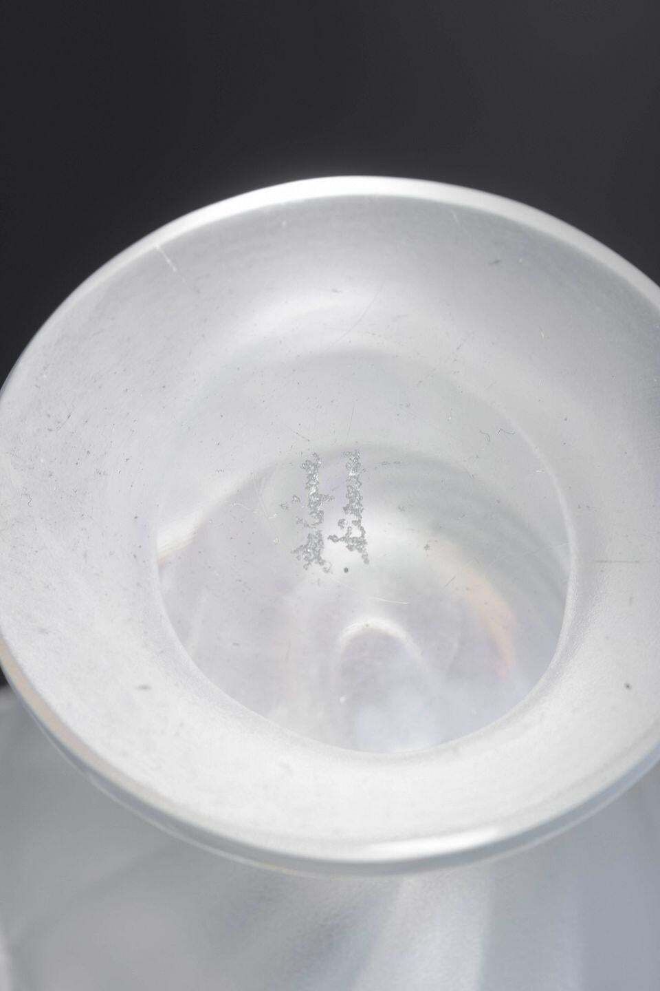 René Lalique. Frosted Crystal Vaas met Twee Zwaluwen in Reliëf, jaren 1970 photo Woonaccessoires