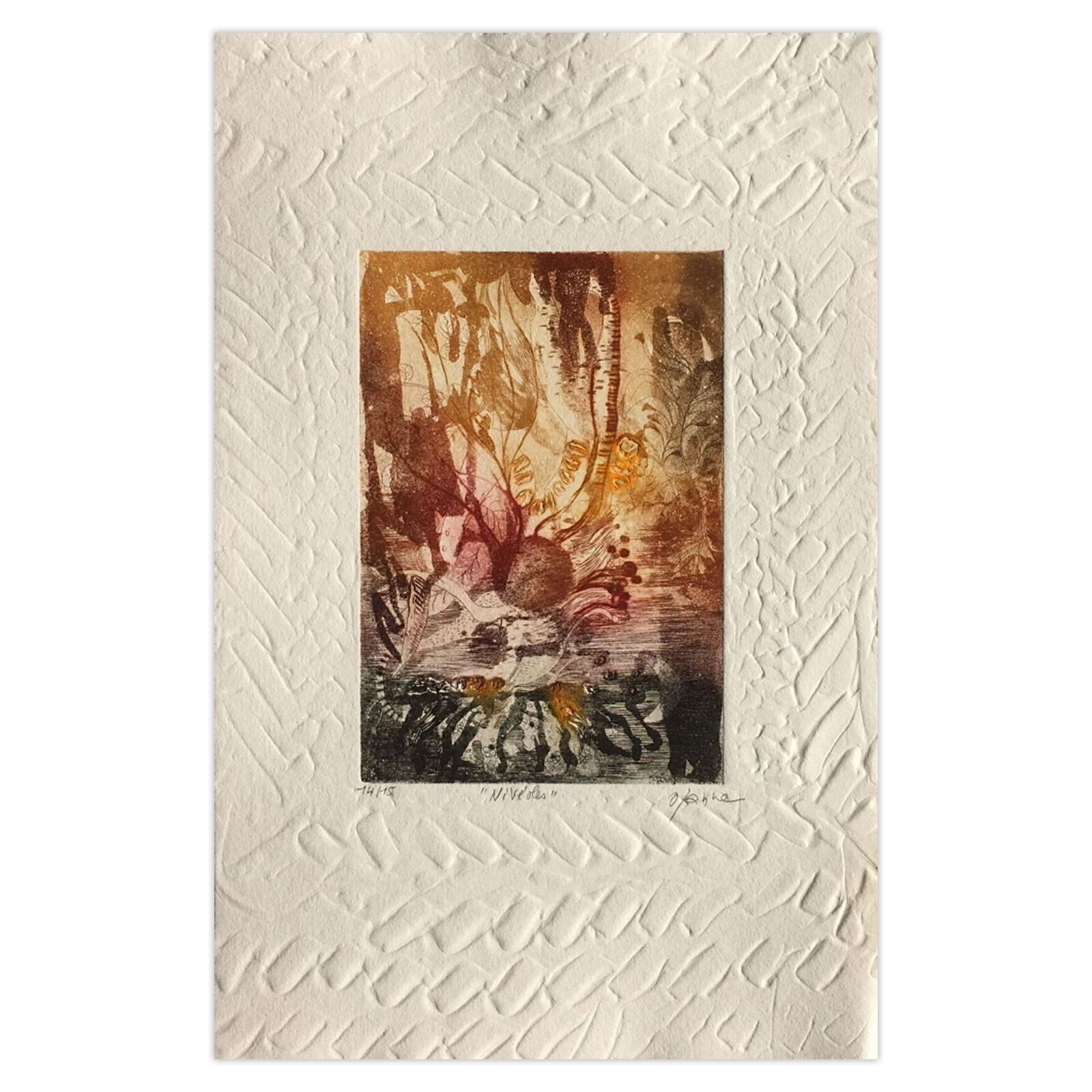 Osanne Gesigneerde Ets Nivéoles 1985