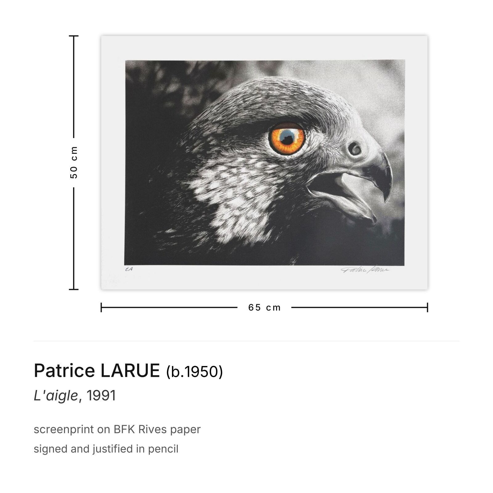 Patrice Larue Gesigneerde Zeefdruk L'aigle 1991 photo furniture