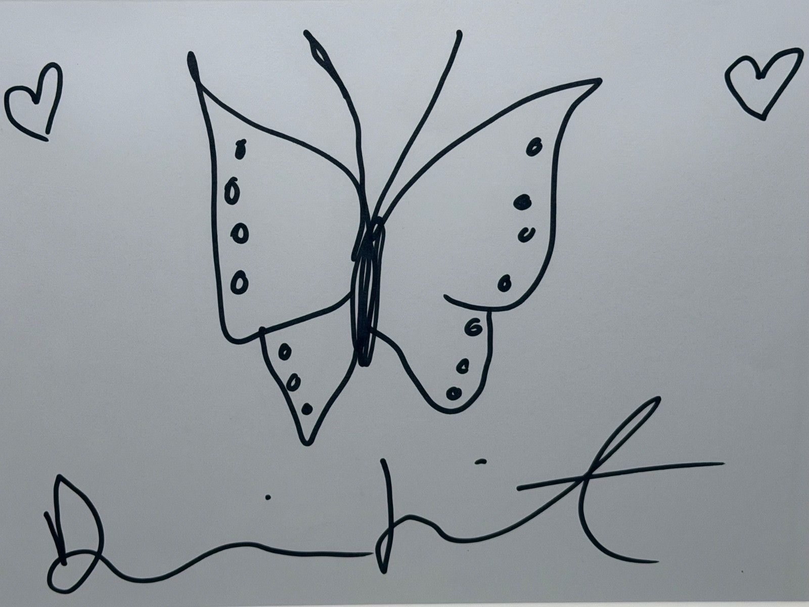 Damien Hirst Butterfly With Hearts – Signed Original Ink Drawing On Paper photo furniture