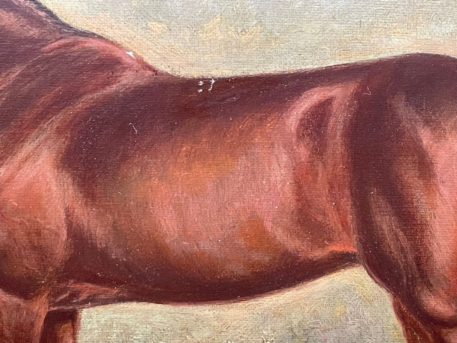 Early 20th Century Oil Painting Racehorses Spion Kop Winner Derby Stakes Signed By Frederick Albert Clarke C1920 photo 4000.0